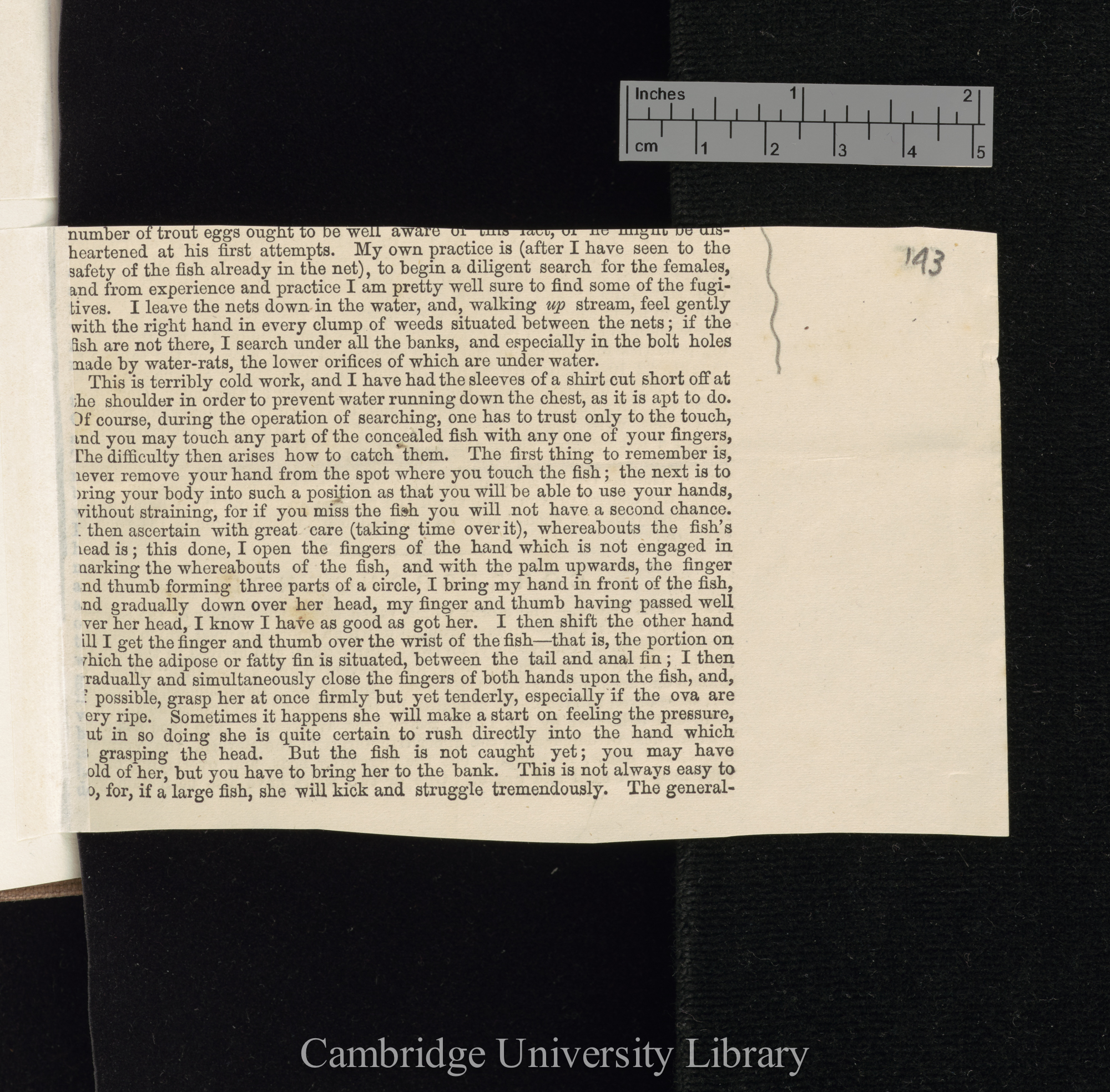 Buckland, Francis Trevelyan. Trout egg collecting (2) &#39;Land and Water&#39;: [41?]