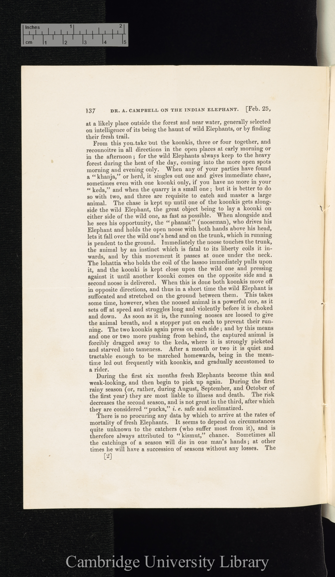 Campbell, Andrew. Notes on the capture of elephants in Assam &#39;Zoological Society of London (Proceedings)&#39;: 137