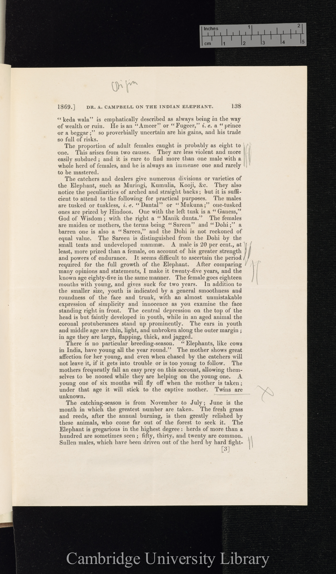 Campbell, Andrew. Notes on the capture of elephants in Assam &#39;Zoological Society of London (Proceedings)&#39;: 138