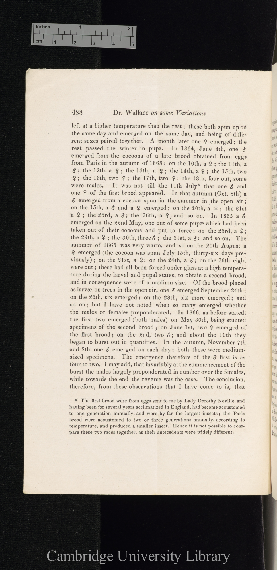 Wallace, Alexander. On some variations observed in Bombyx cynthia in 1866 &#39;Entomological Society (Transactions)&#39; 3s 5: 488