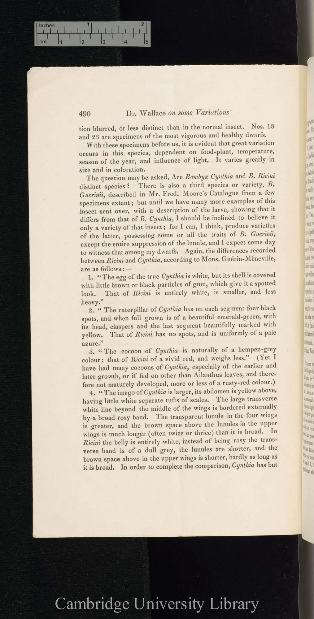 Wallace, Alexander. On some variations observed in Bombyx cynthia in 1866 &#39;Entomological Society (Transactions)&#39; 3s 5: 490