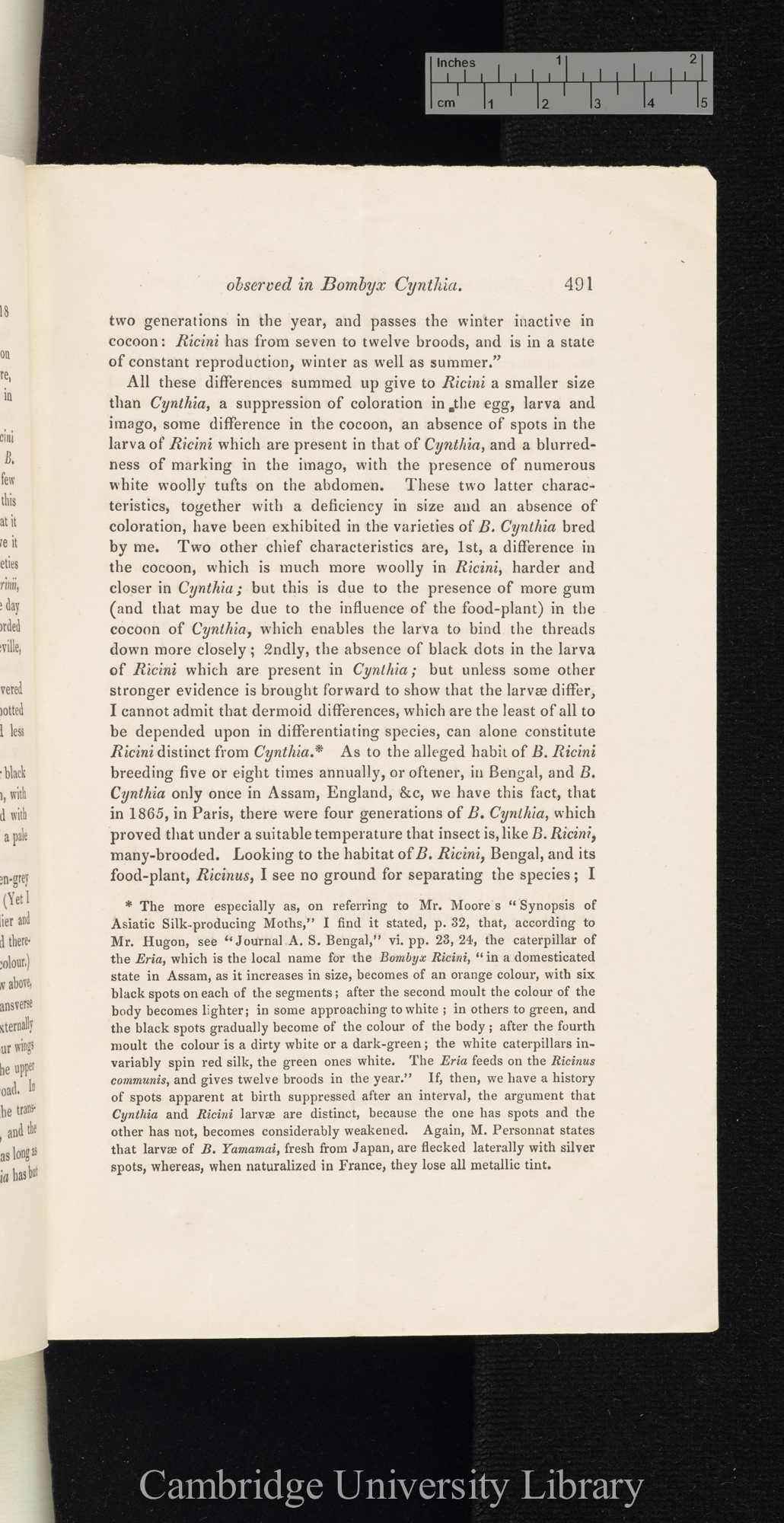 Wallace, Alexander. On some variations observed in Bombyx cynthia in 1866 &#39;Entomological Society (Transactions)&#39; 3s 5: 491