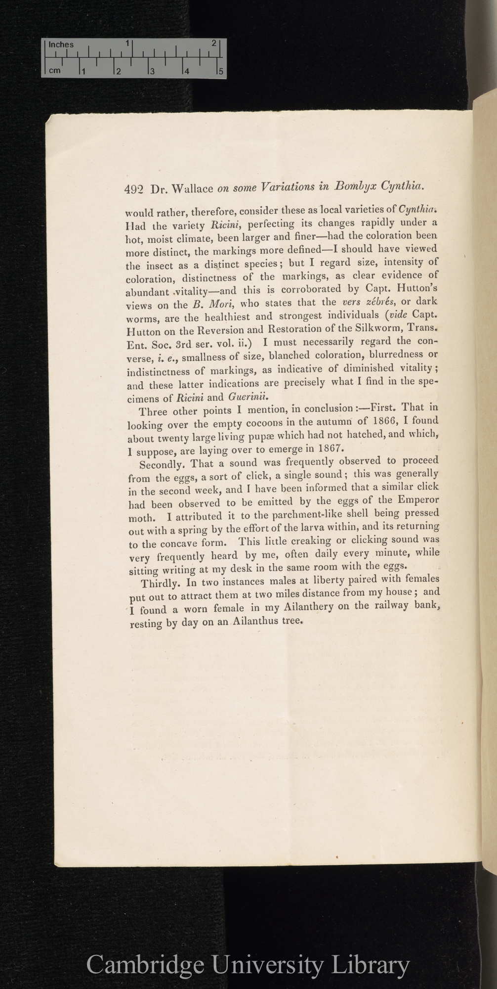 Wallace, Alexander. On some variations observed in Bombyx cynthia in 1866 &#39;Entomological Society (Transactions)&#39; 3s 5: 492