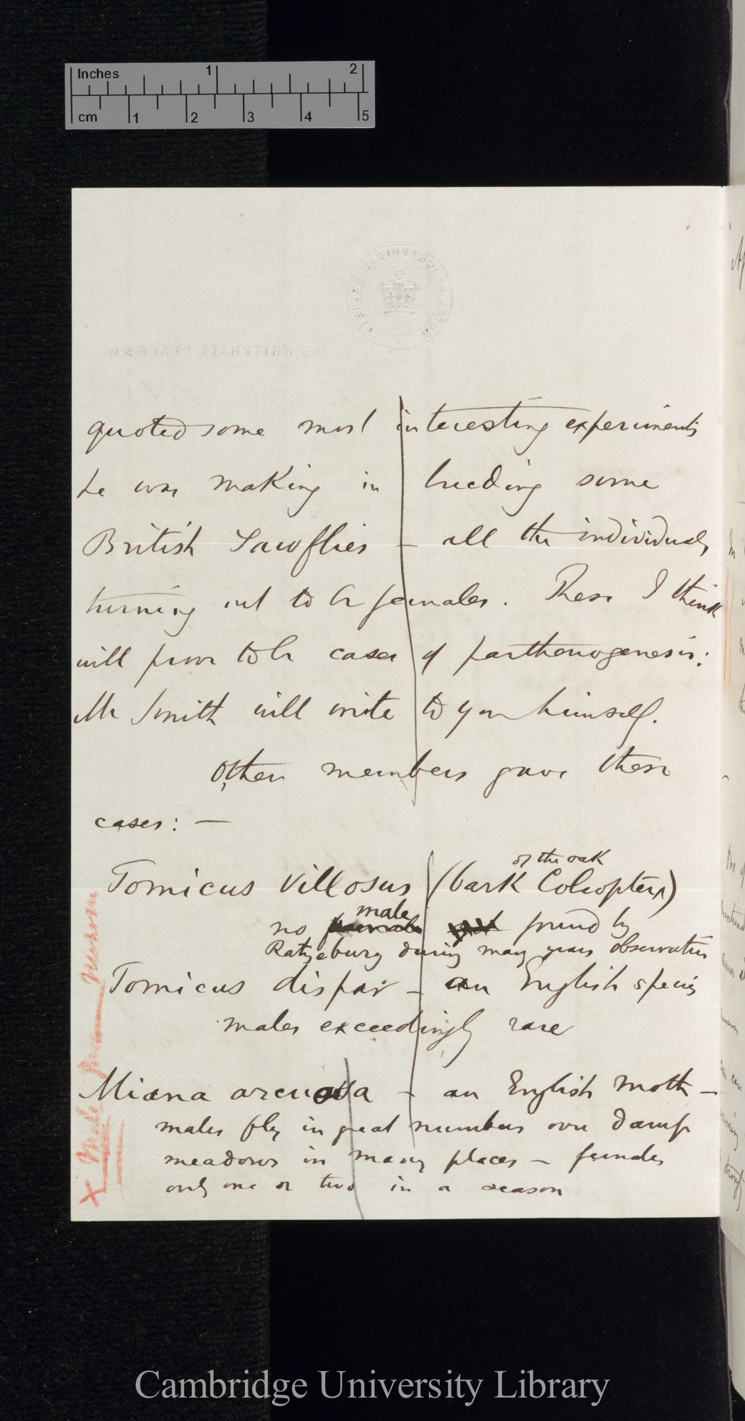 Henry Walter Bates to Charles Robert Darwin