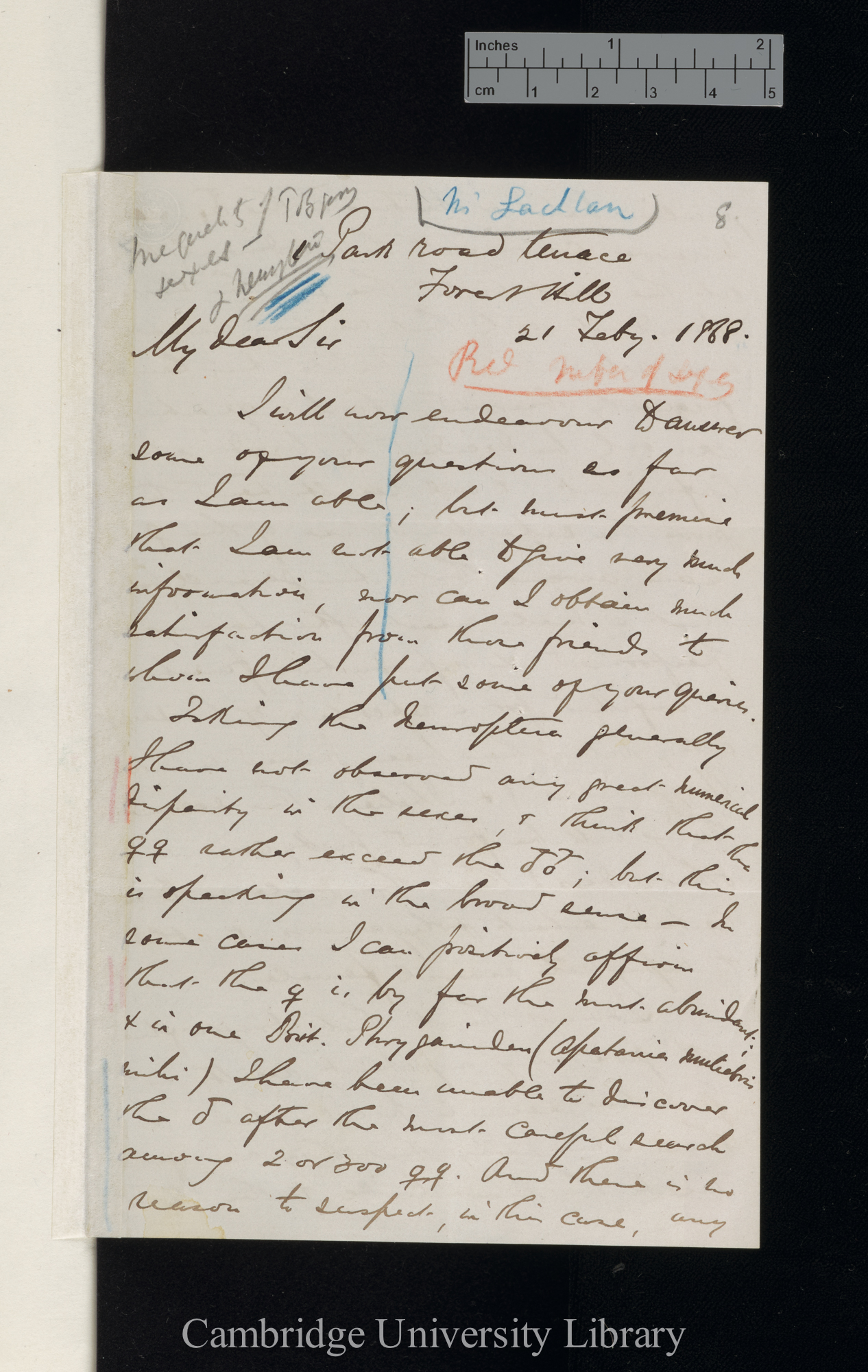 Robert McLachlan to Charles Robert Darwin