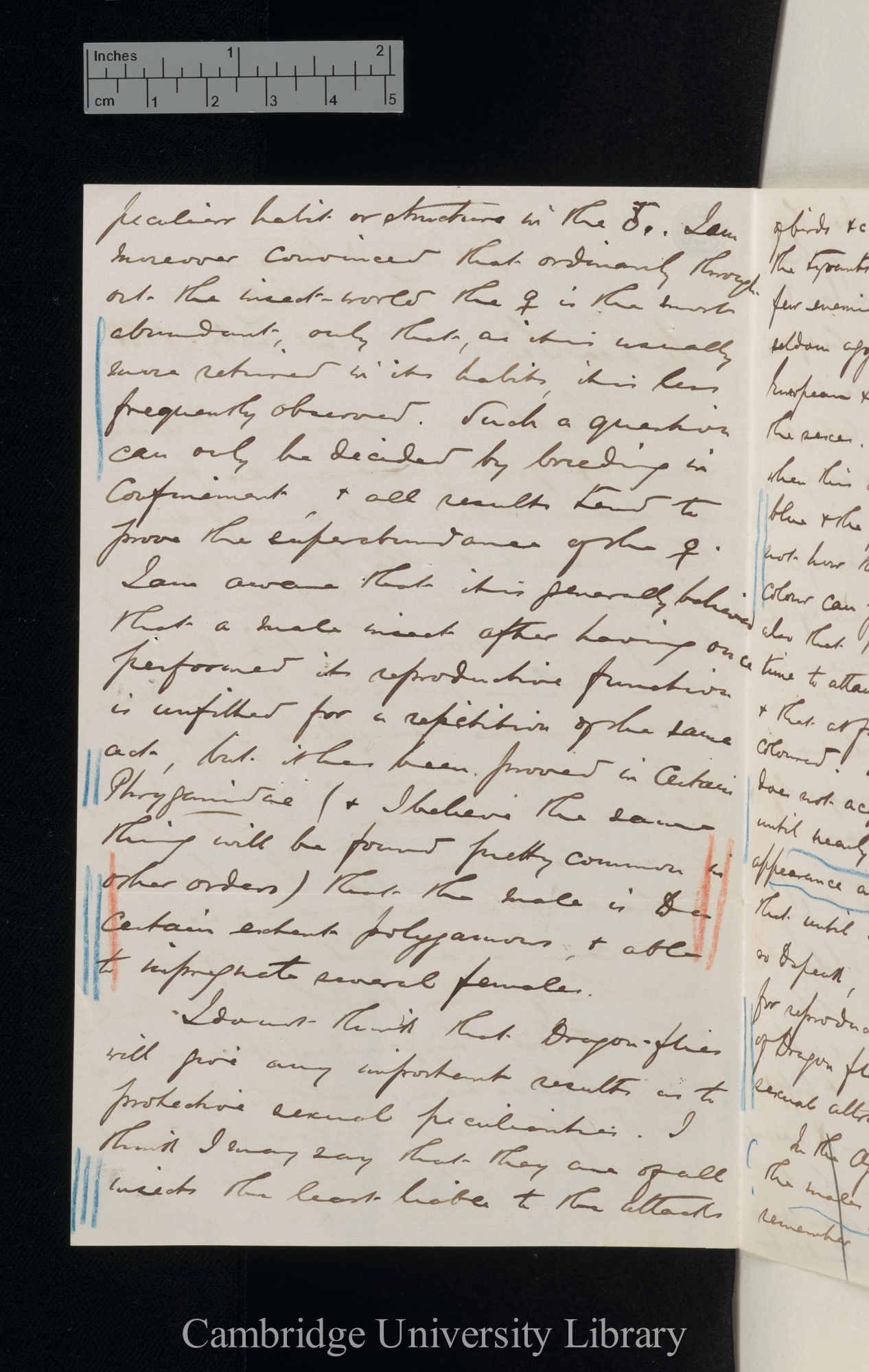 Robert McLachlan to Charles Robert Darwin