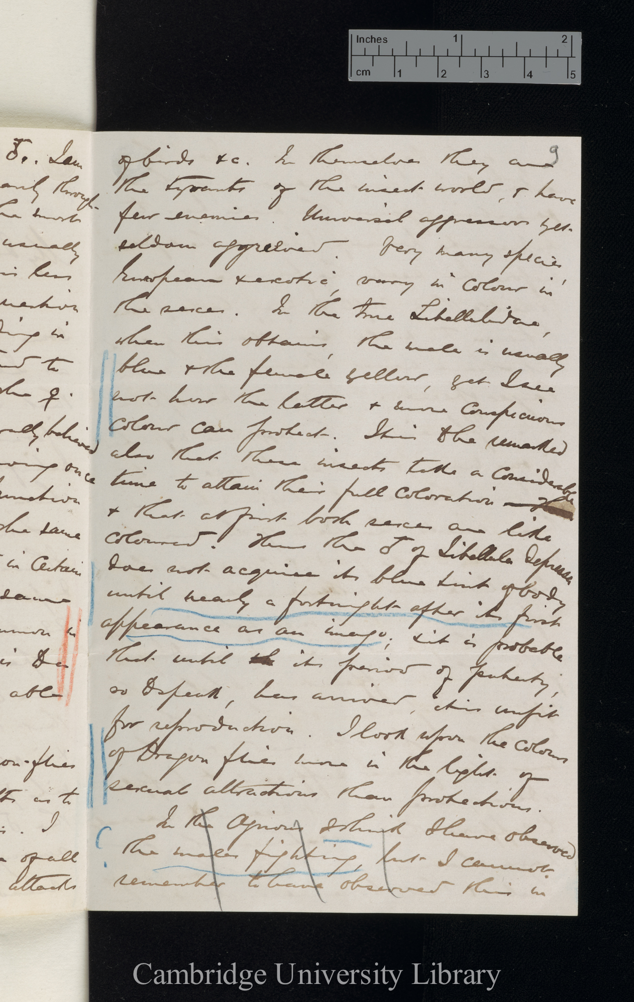 Robert McLachlan to Charles Robert Darwin