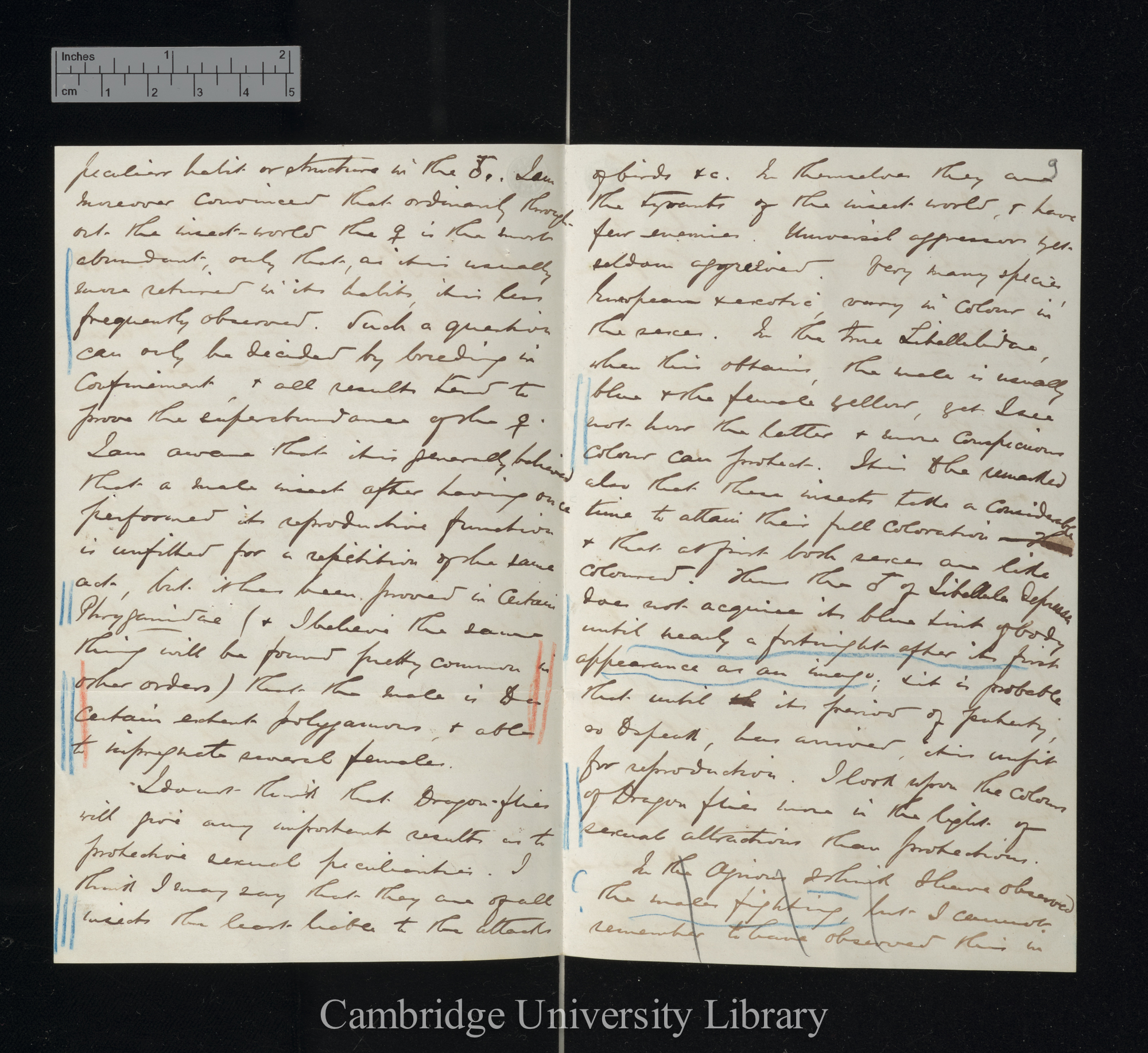 Robert McLachlan to Charles Robert Darwin