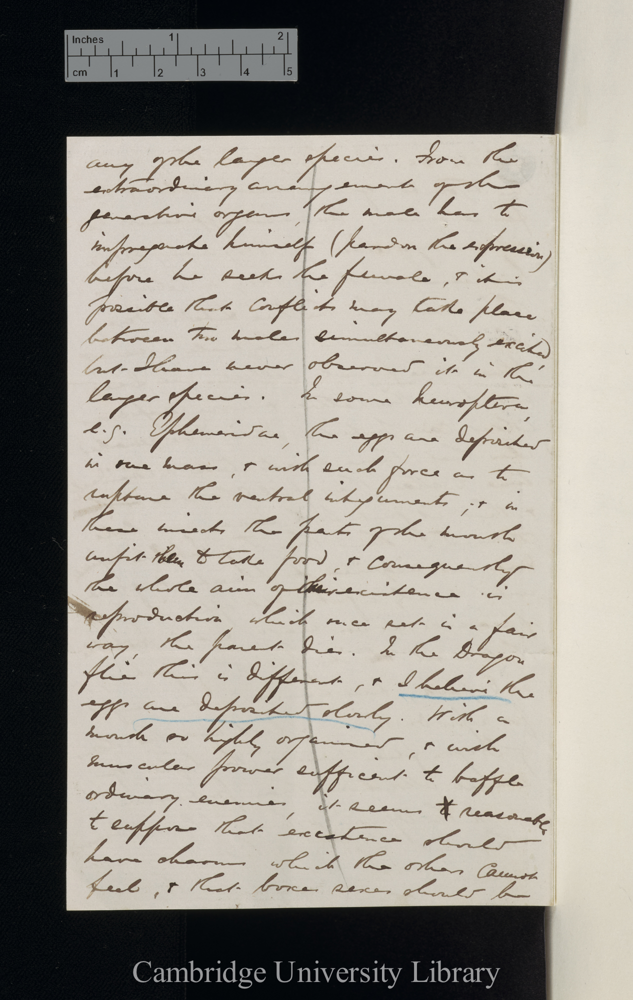 Robert McLachlan to Charles Robert Darwin