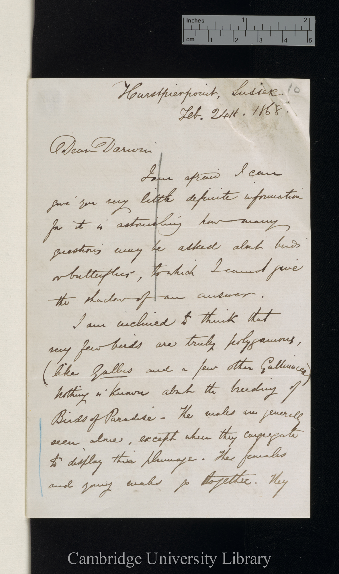 Alfred Russel Wallace to Charles Robert Darwin