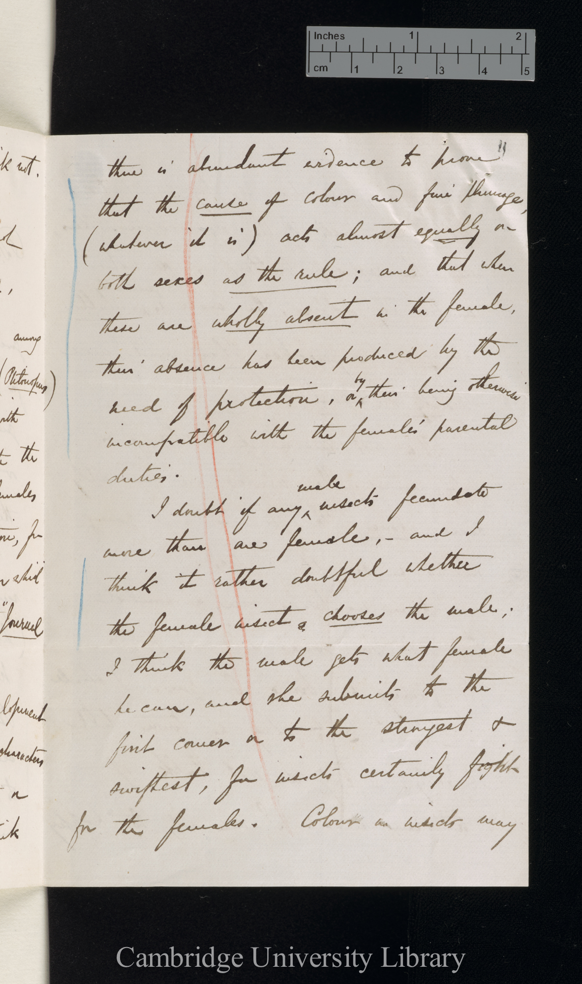 Alfred Russel Wallace to Charles Robert Darwin