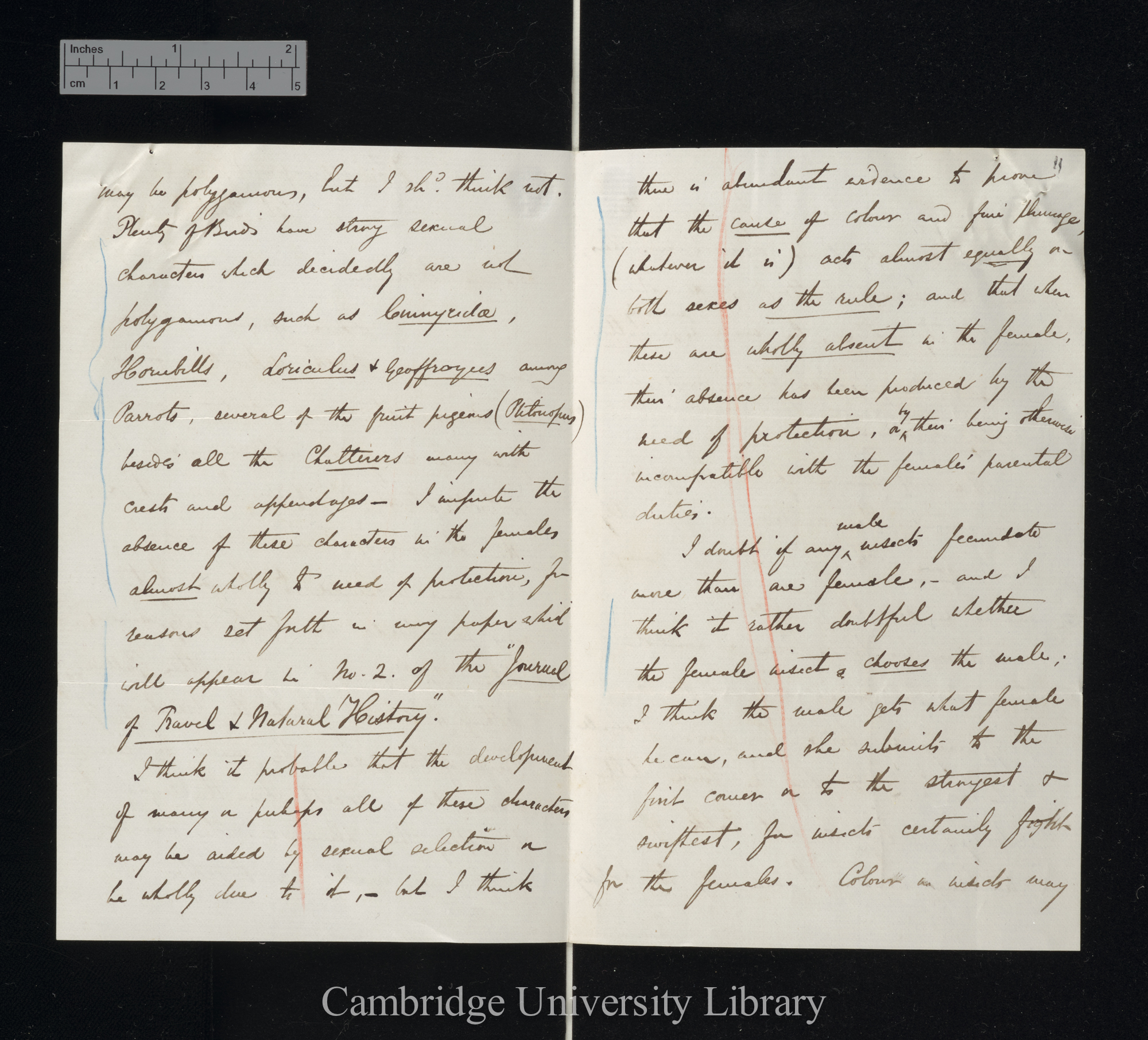 Alfred Russel Wallace to Charles Robert Darwin