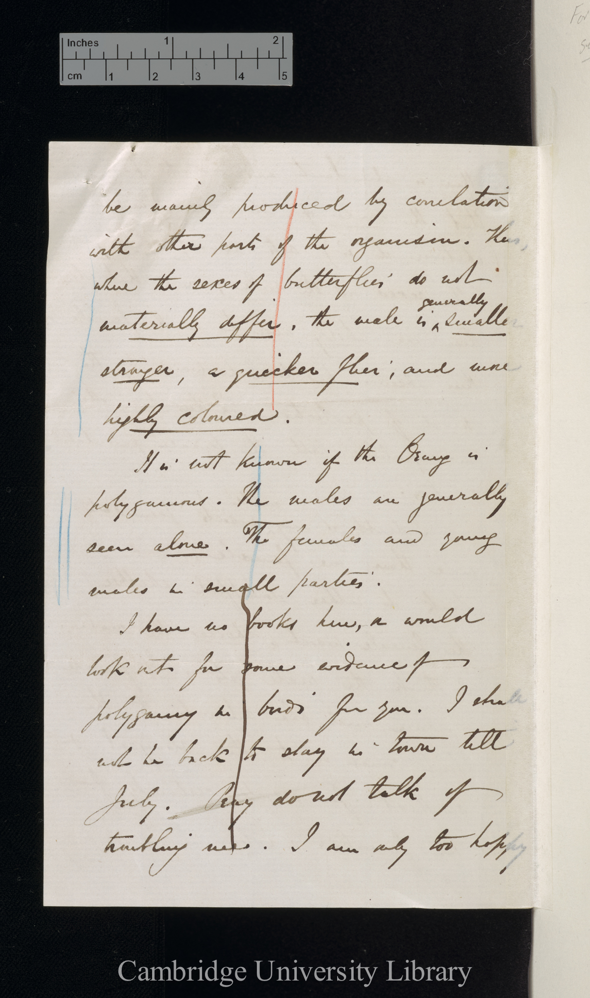 Alfred Russel Wallace to Charles Robert Darwin