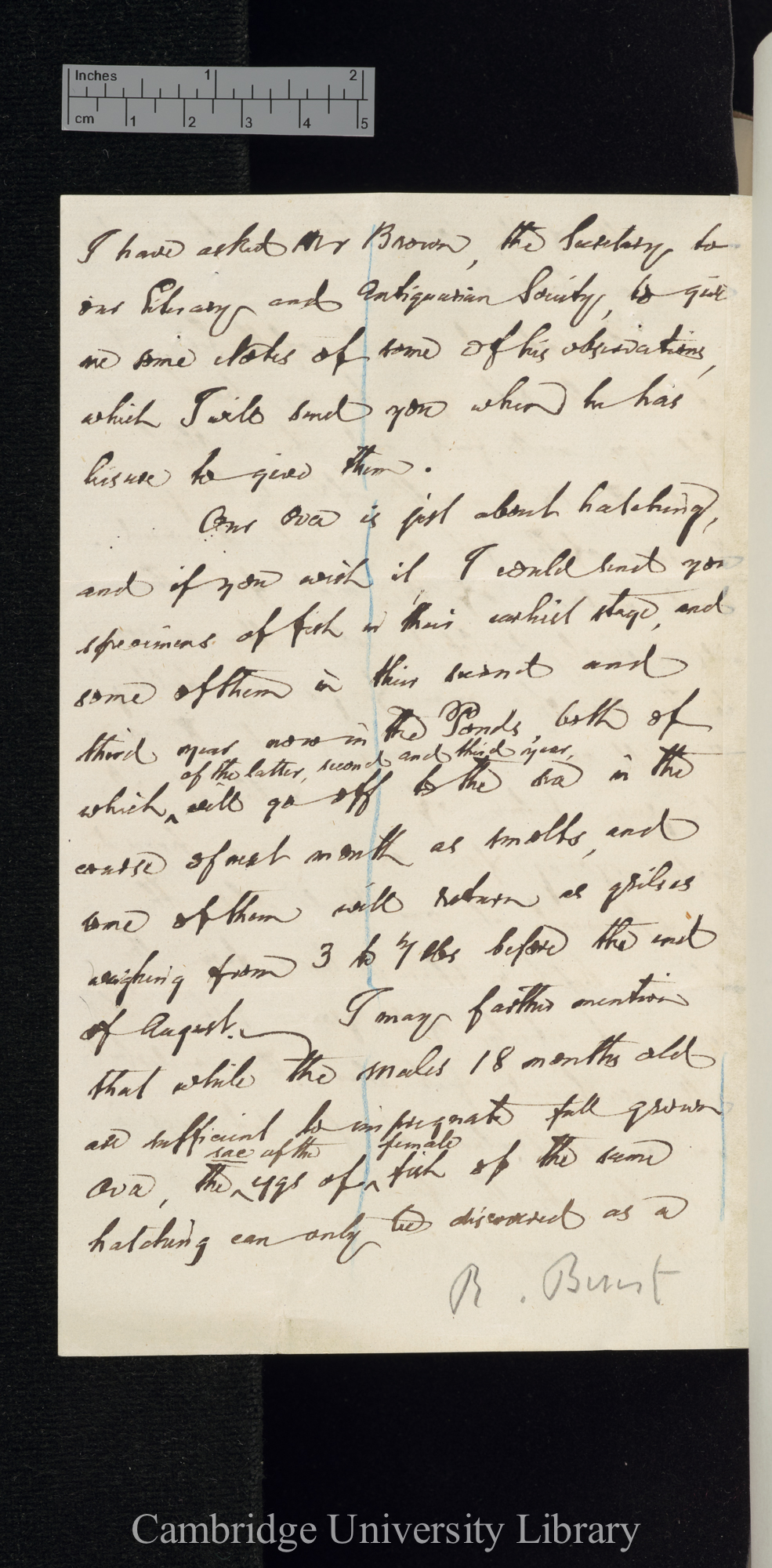 [Robert Buist] to Charles Robert Darwin