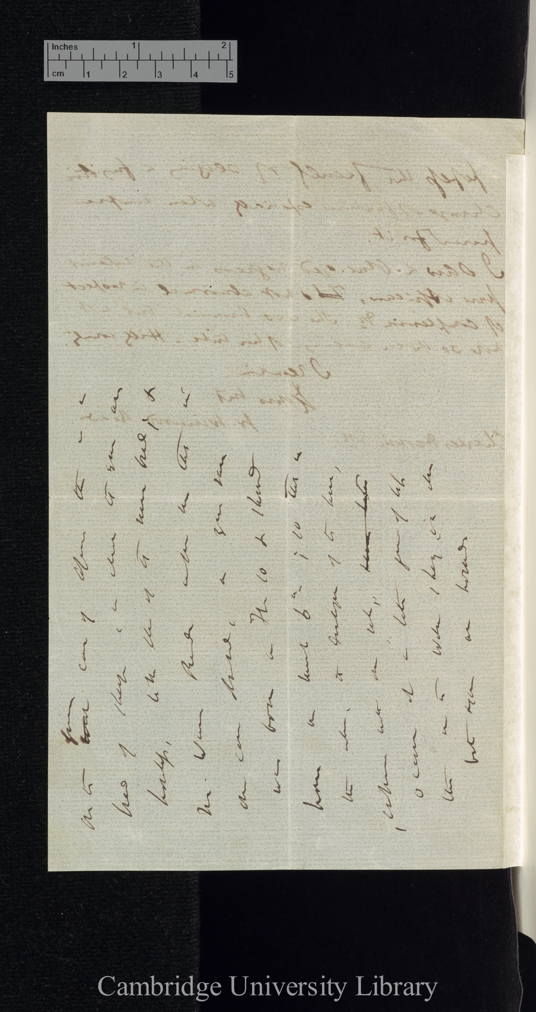 William Winwood Reade to Charles Robert Darwin