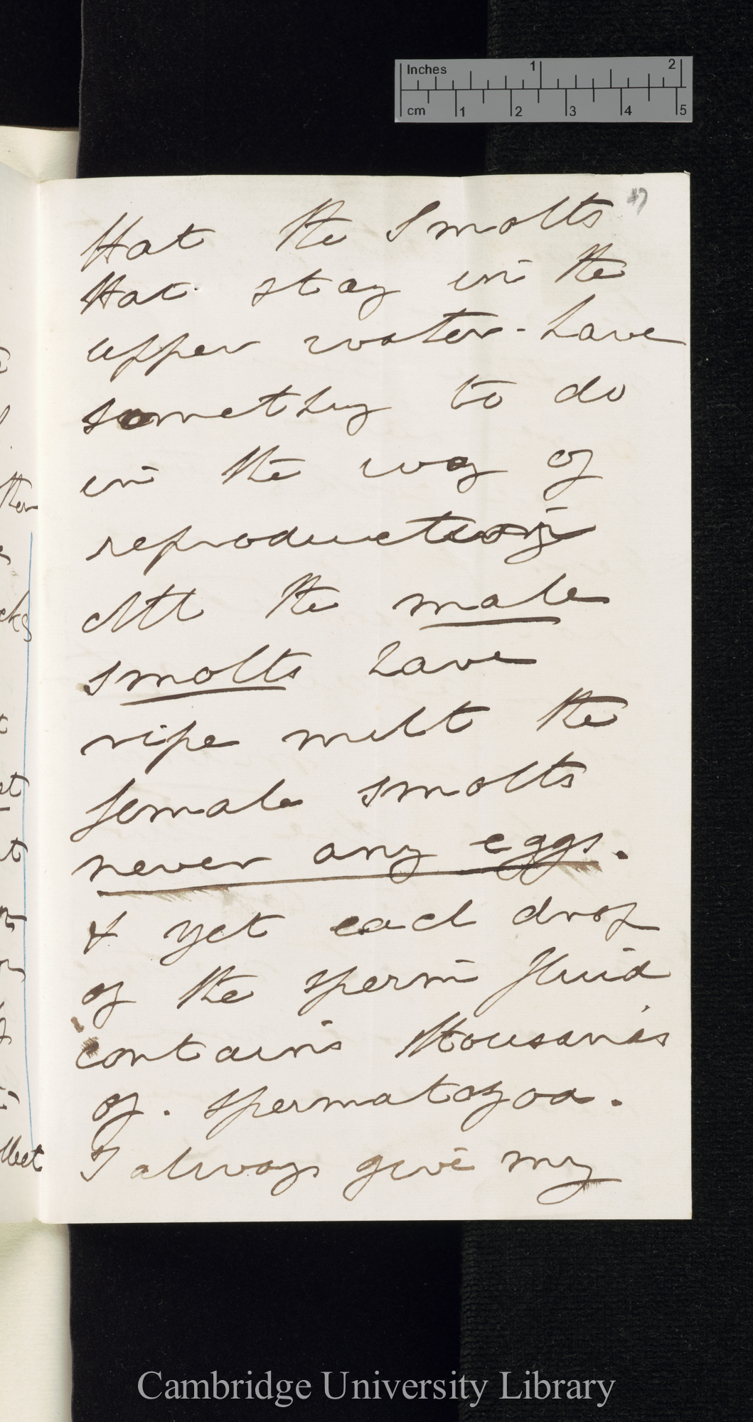 Francis Trevelyan Buckland to Charles Robert Darwin