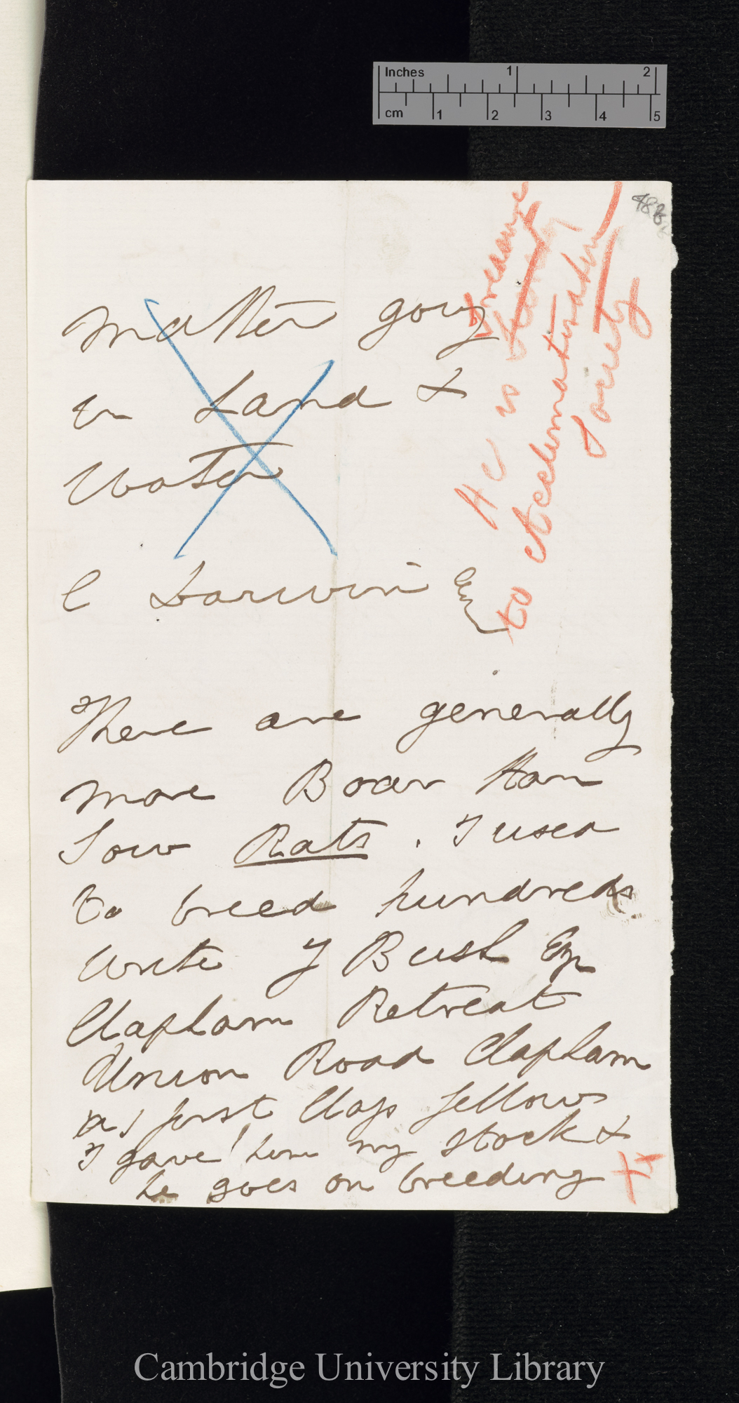 Francis Trevelyan Buckland to Charles Robert Darwin