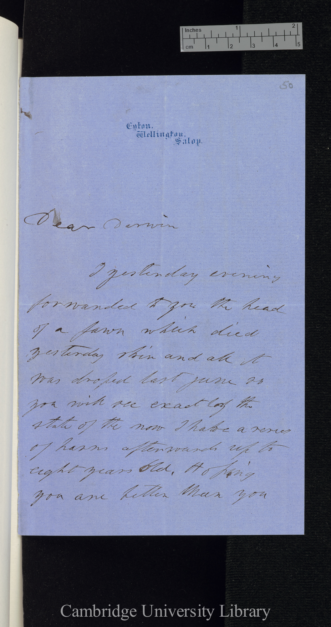 Thomas Campbell Eyton to Charles Robert Darwin