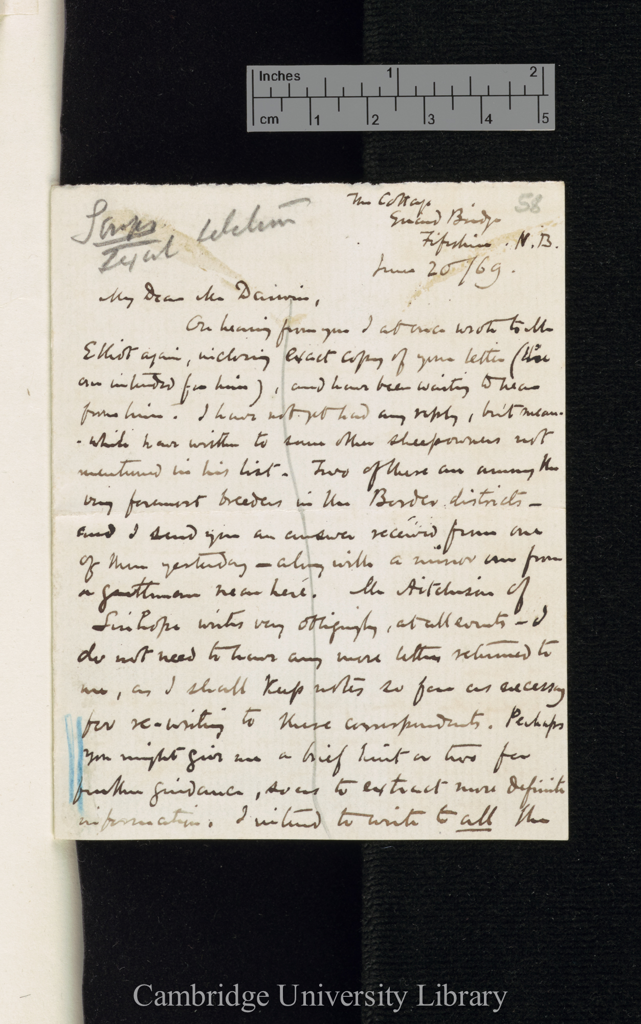 George Cupples to Charles Robert Darwin