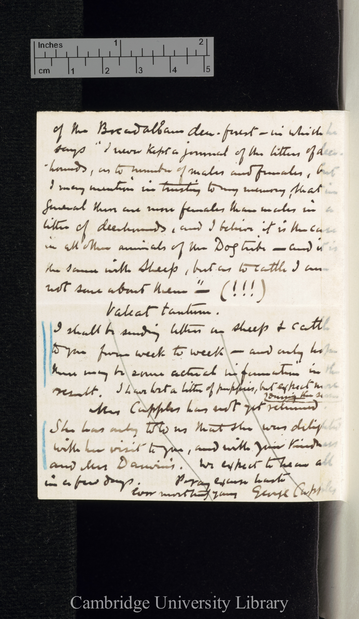 George Cupples to Charles Robert Darwin