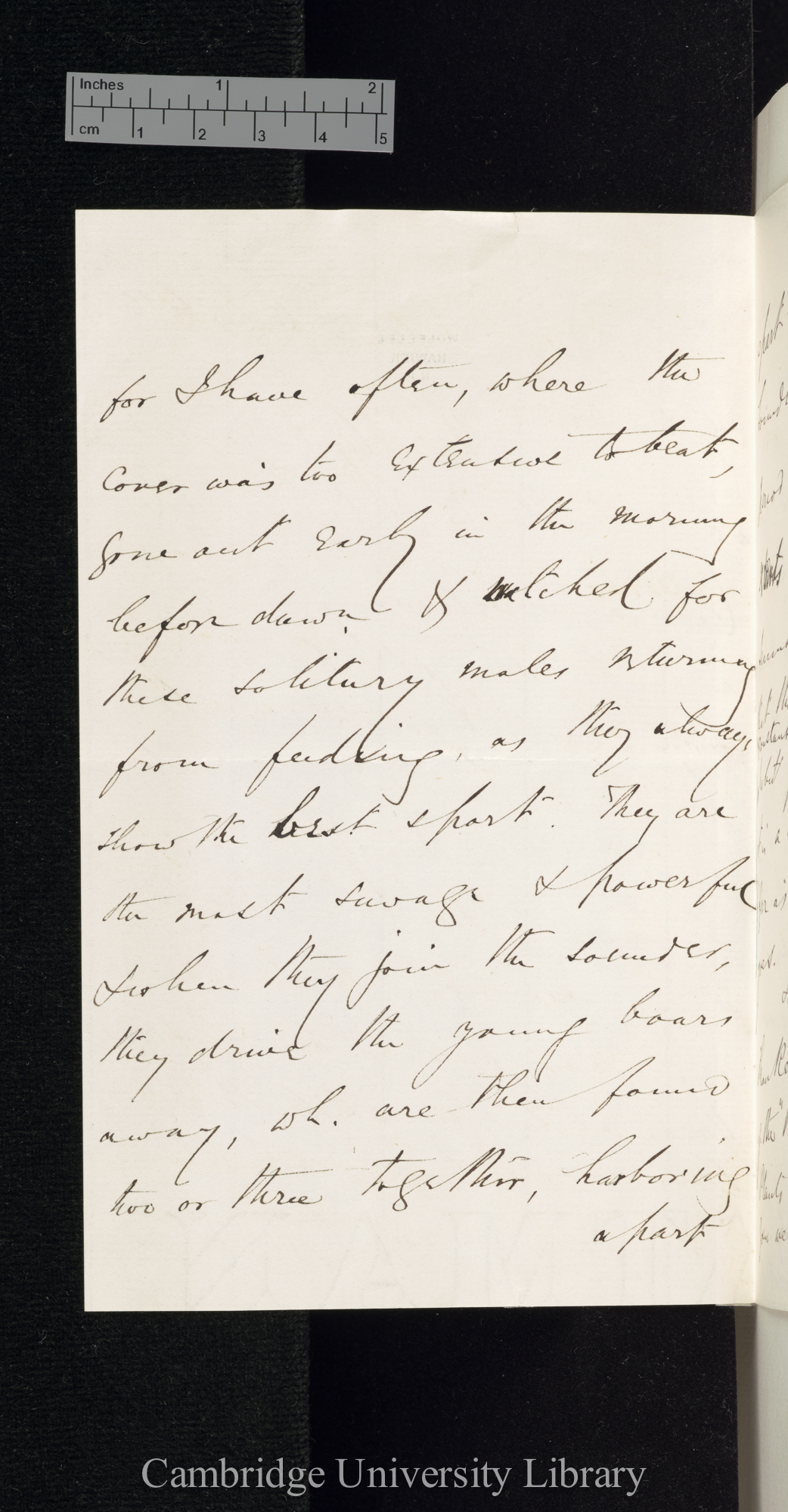 Sir Walter Elliot to Charles Robert Darwin