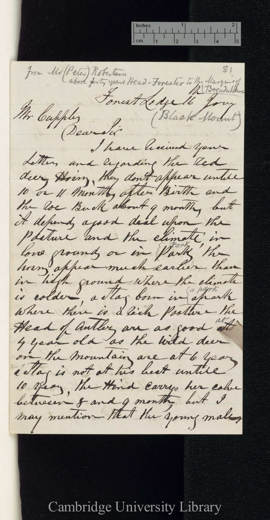 George Cupples to Charles Robert Darwin