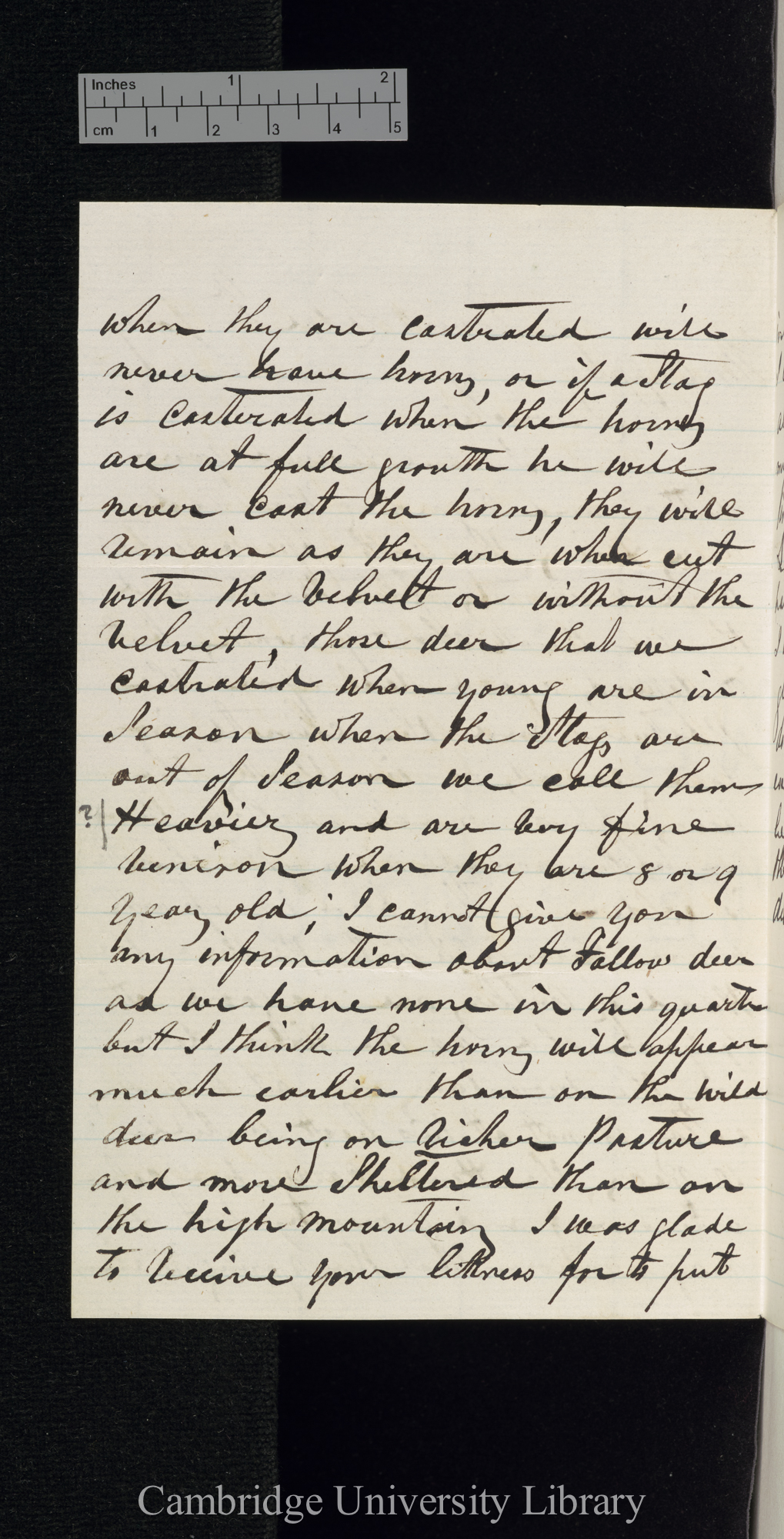 George Cupples to Charles Robert Darwin