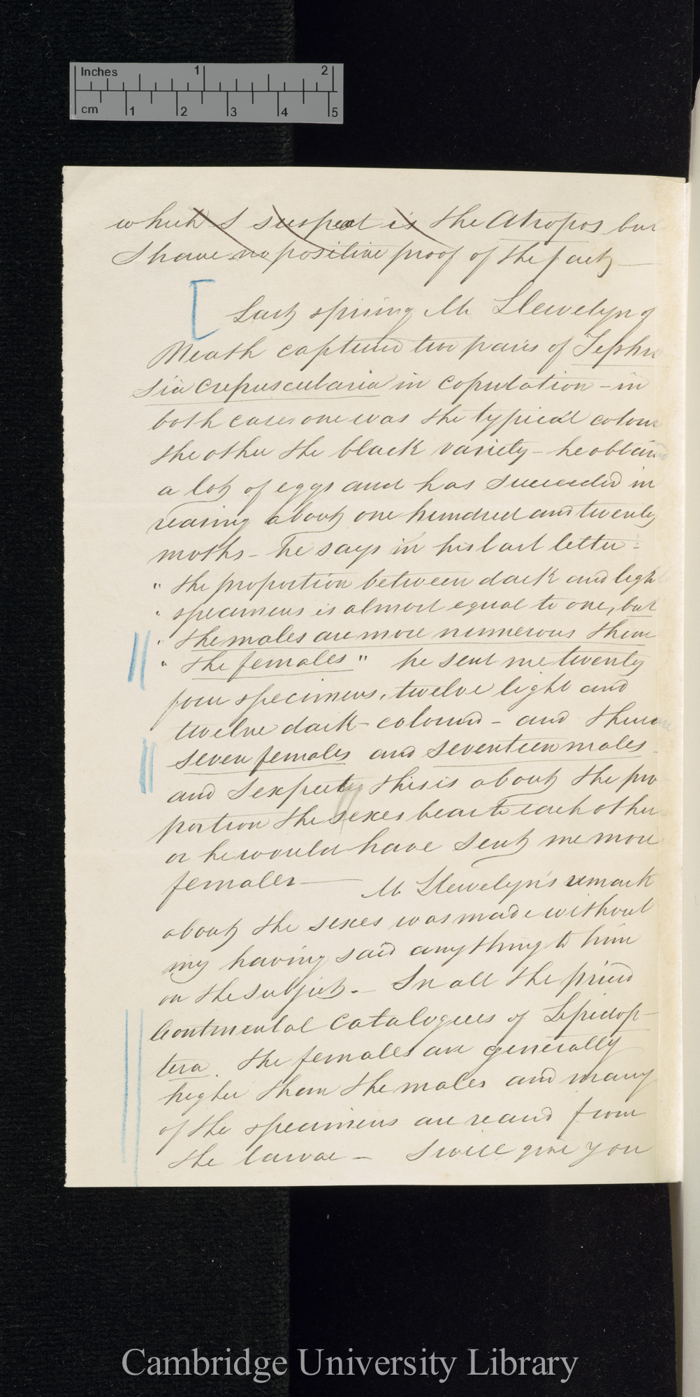 Henry Doubleday to Charles Robert Darwin