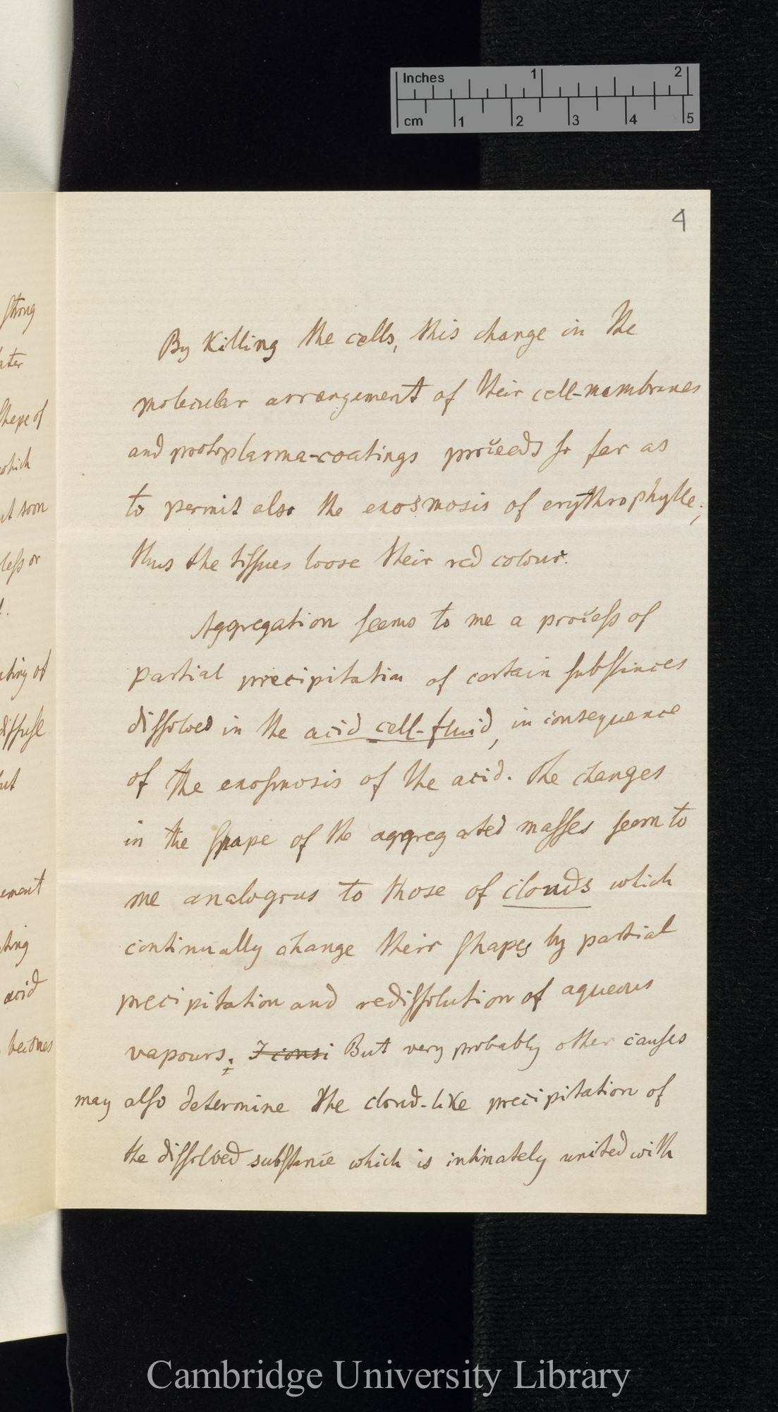 Ferdinand Cohn to Charles Robert Darwin