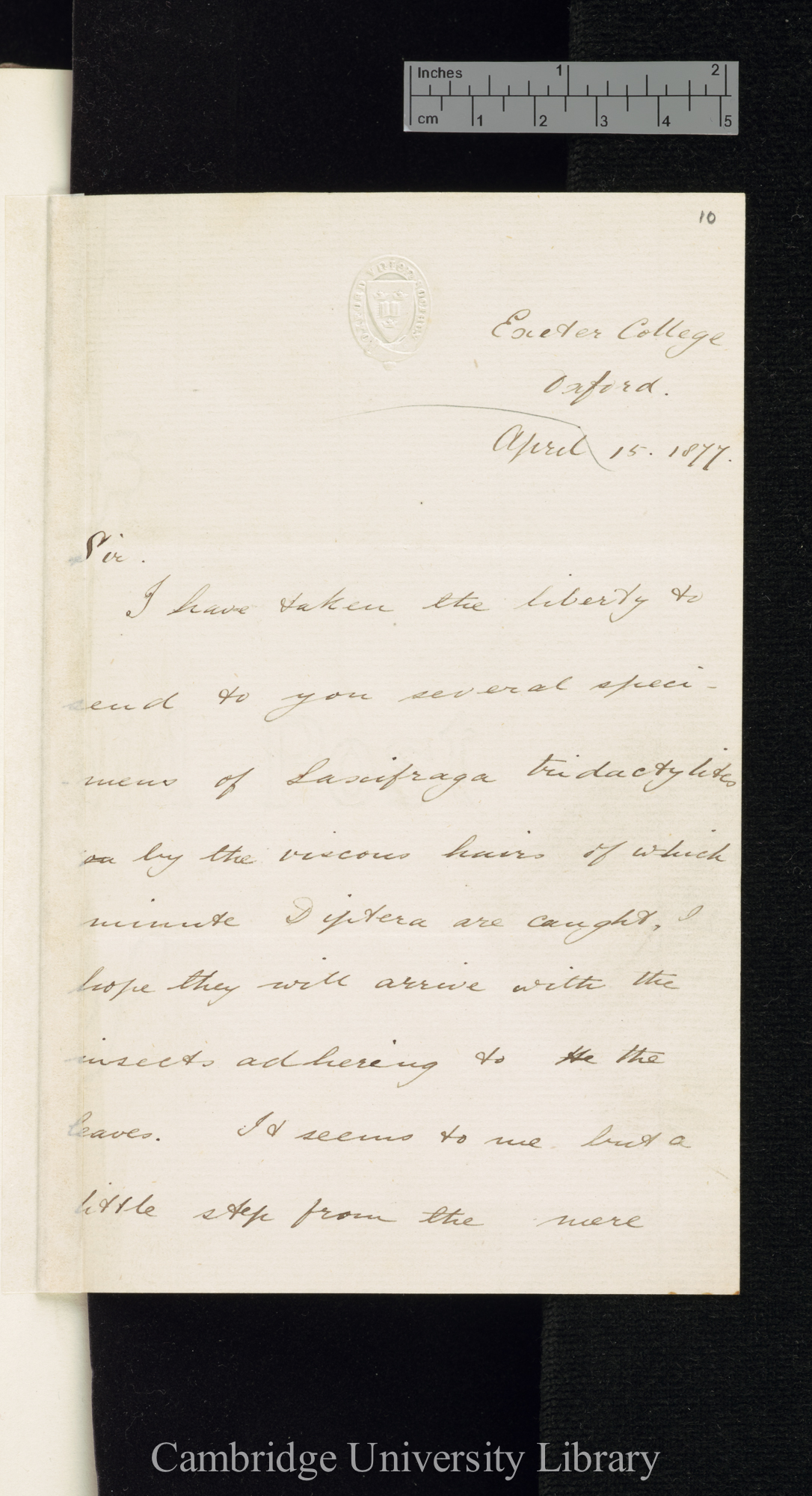 Henry Nicholas Ridley to Charles Robert Darwin