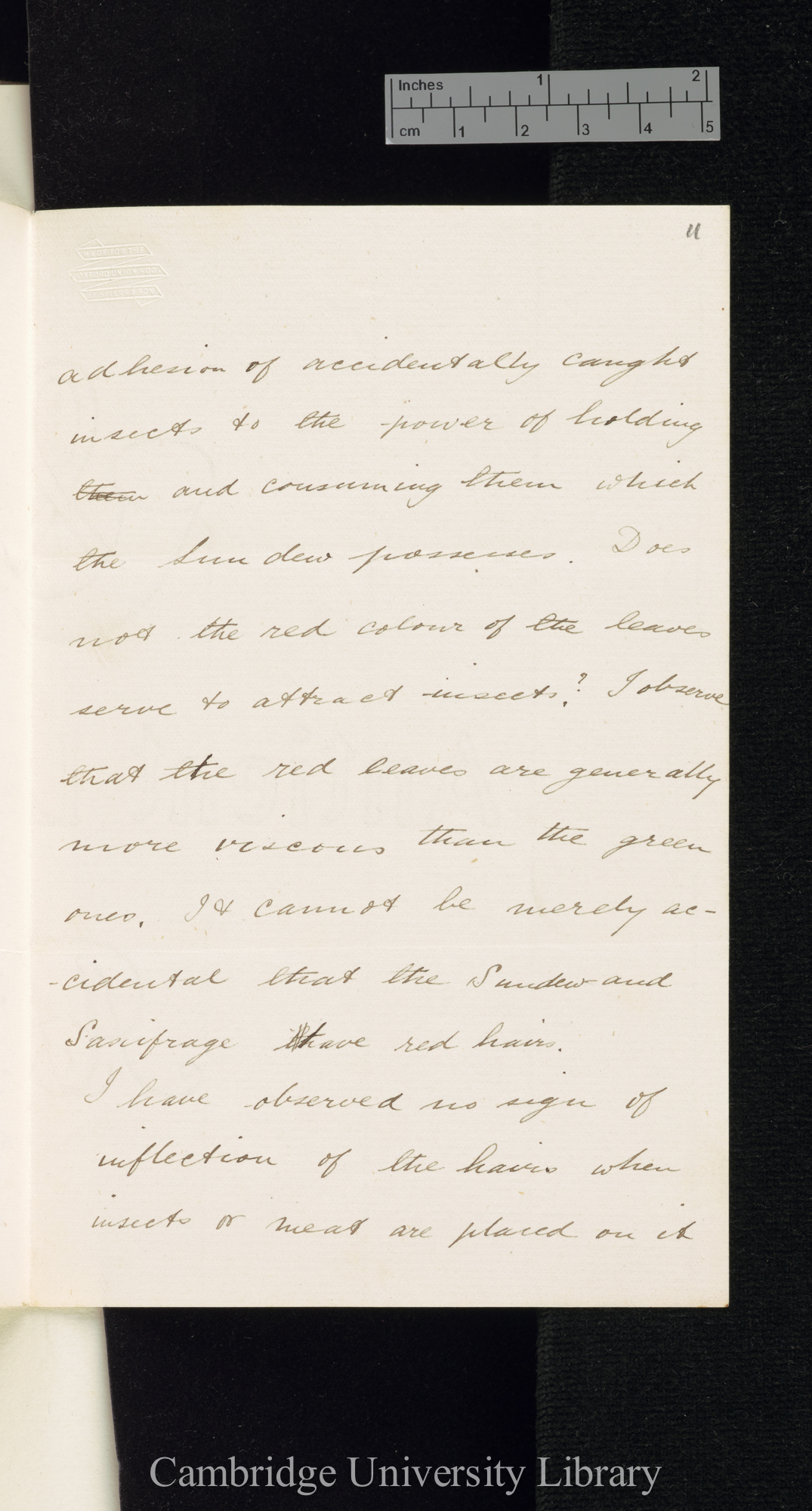 Henry Nicholas Ridley to Charles Robert Darwin