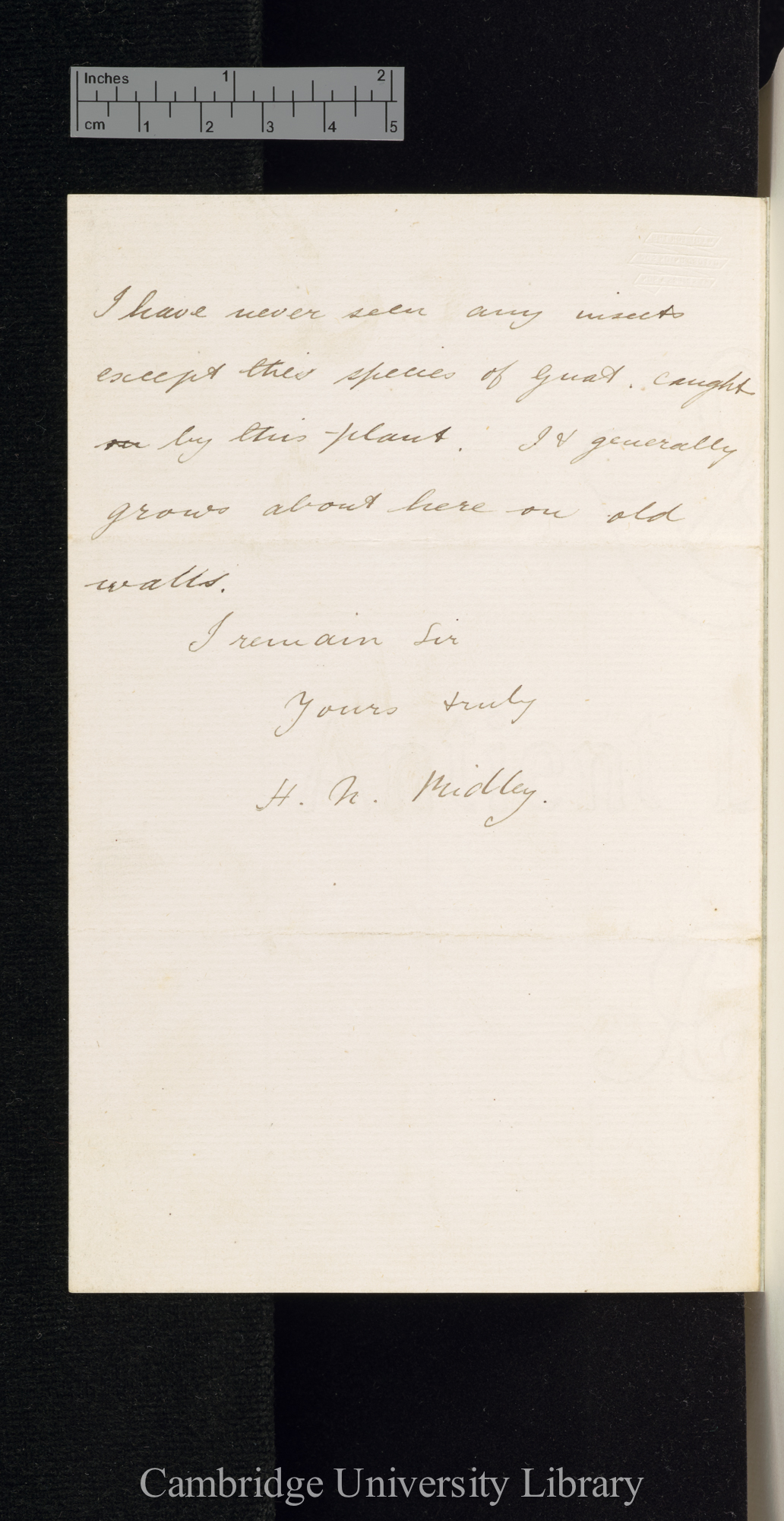 Henry Nicholas Ridley to Charles Robert Darwin