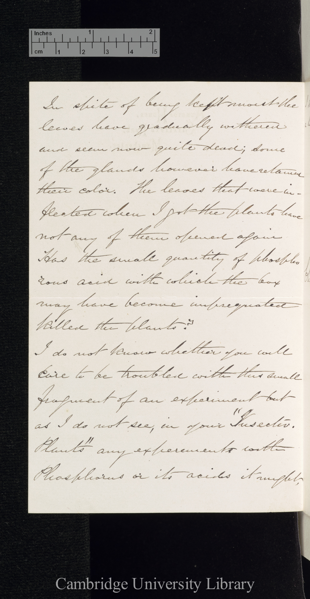 Charles Harrison Blackley to Charles Robert Darwin