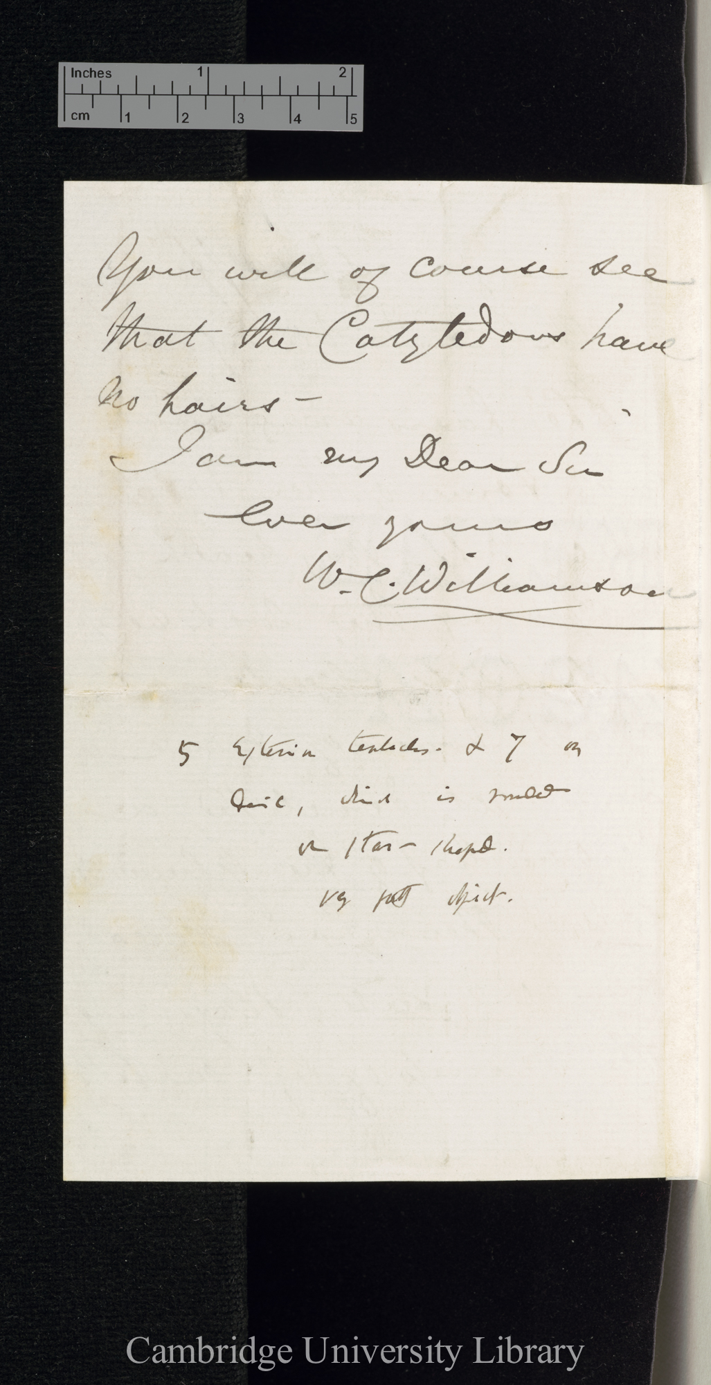 William Crawford Williamson to Charles Robert Darwin