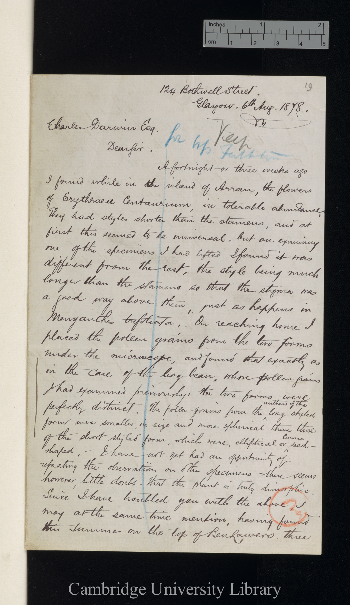 Alexander Stephen Wilson to Charles Robert Darwin