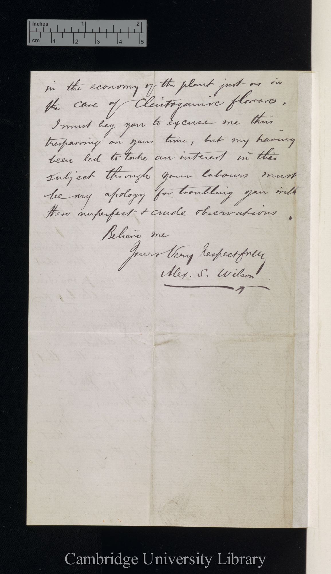 Alexander Stephen Wilson to Charles Robert Darwin