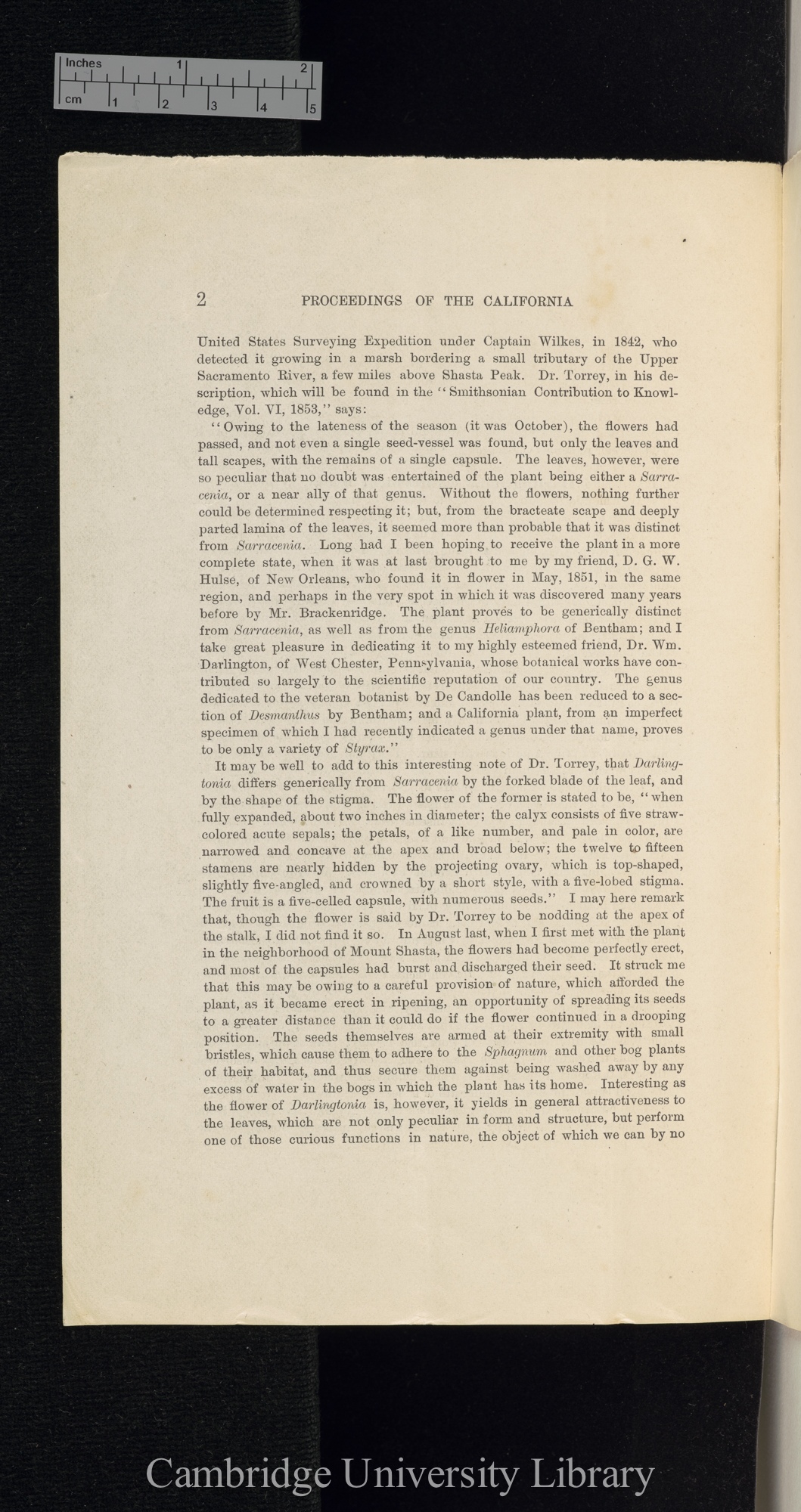 Edwards, Henry. Darlingtonia californica &#39;California Academy of Science, Proceedings&#39;: 161-166 [2]