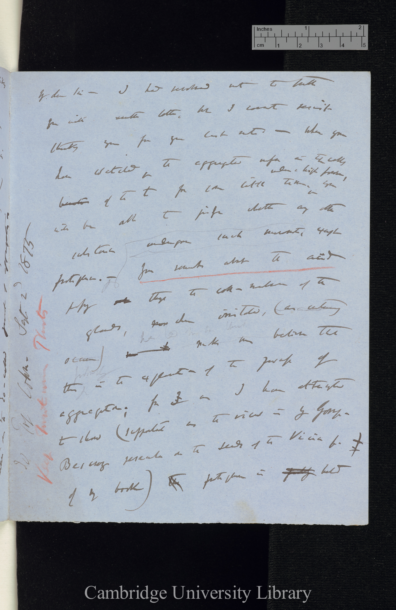 Charles Robert Darwin to Ferdinand Cohn