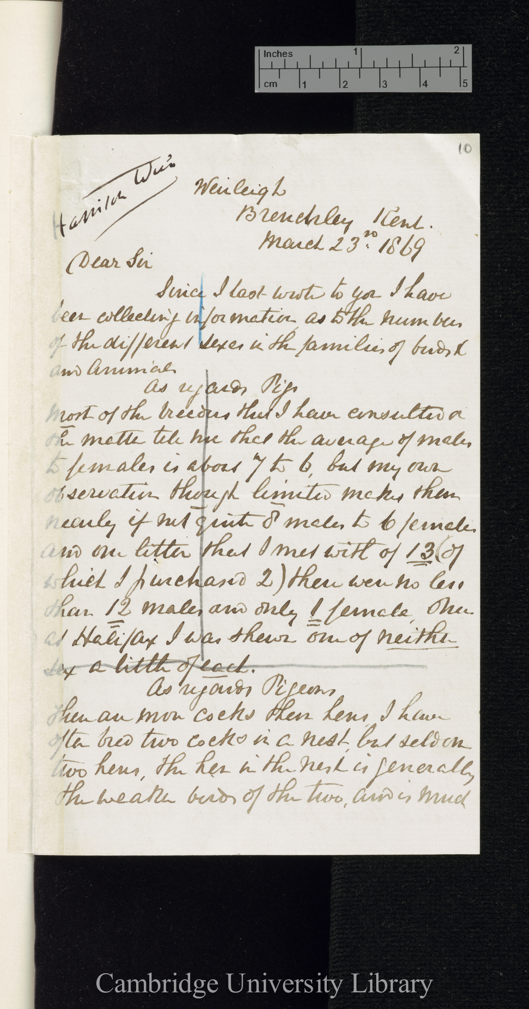 [Harrison William Weir] to Charles Robert Darwin