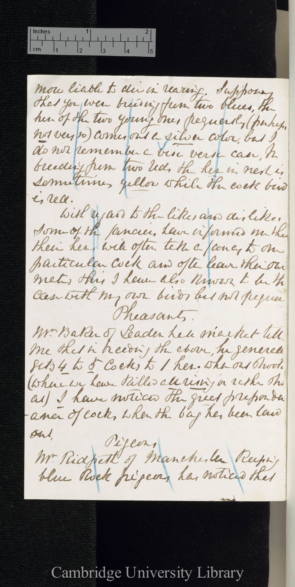 [Harrison William Weir] to Charles Robert Darwin