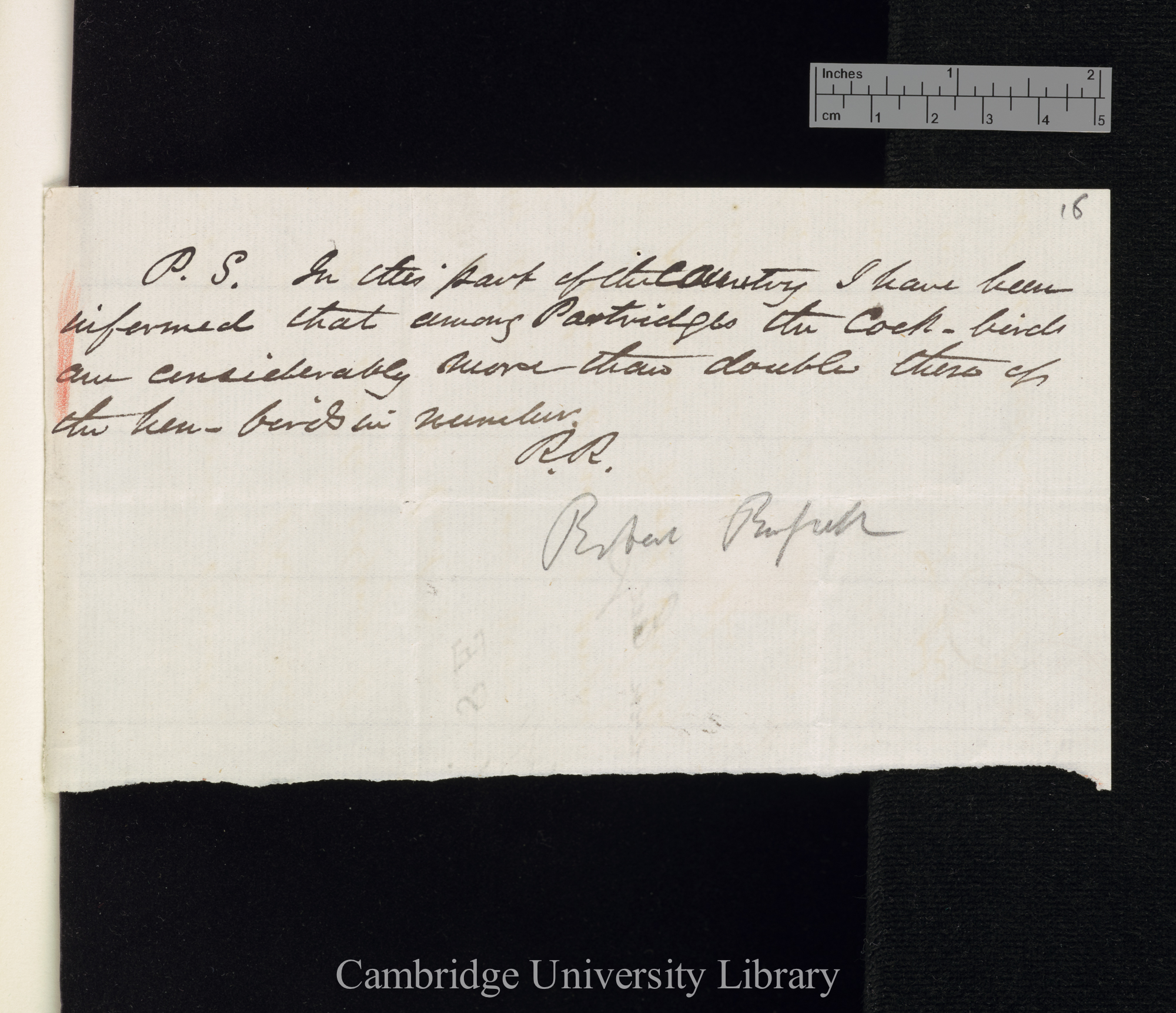 [Robert Russell] to Charles Robert Darwin