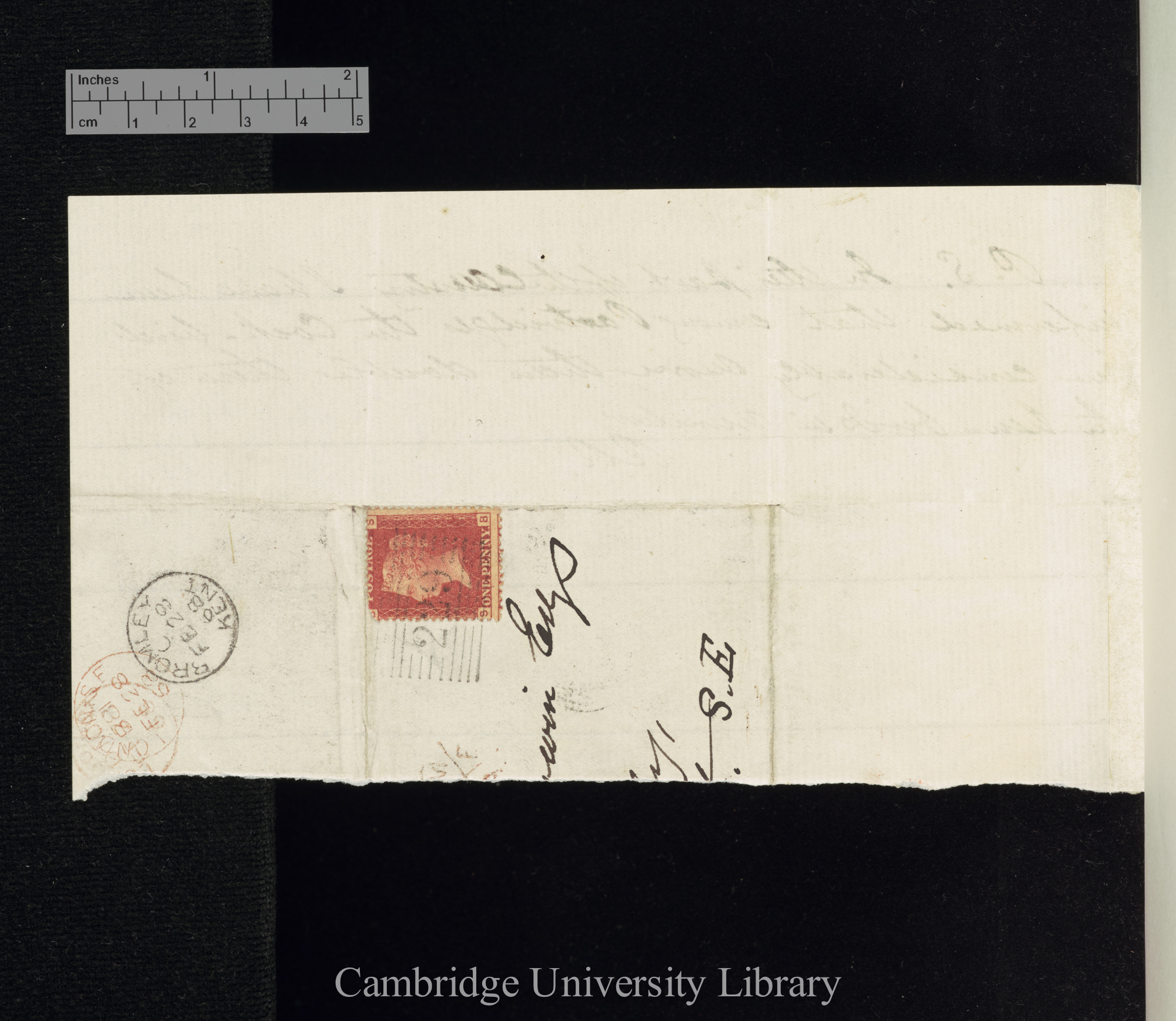 [Robert Russell] to Charles Robert Darwin