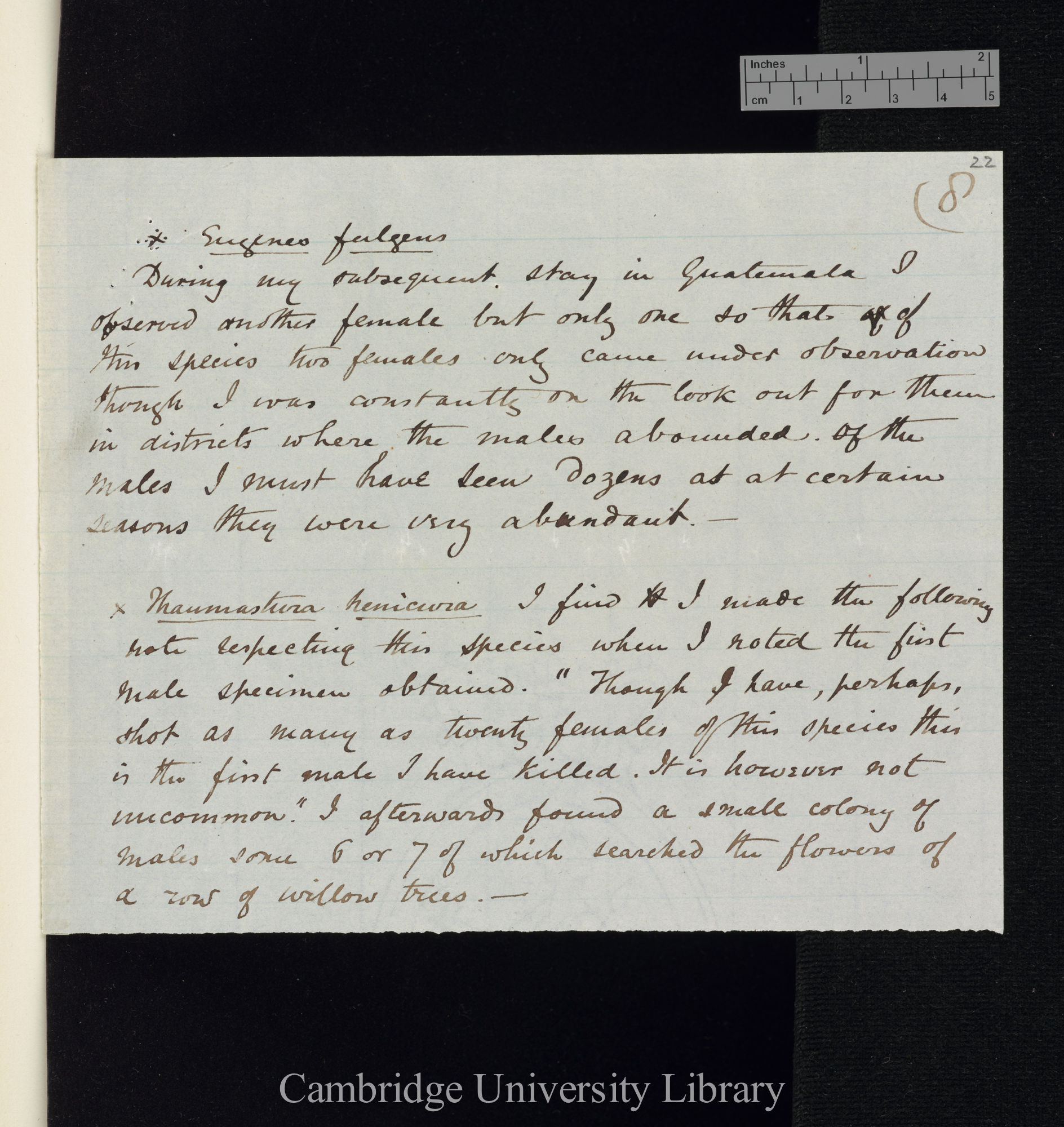 Osbert Salvin to Charles Robert Darwin