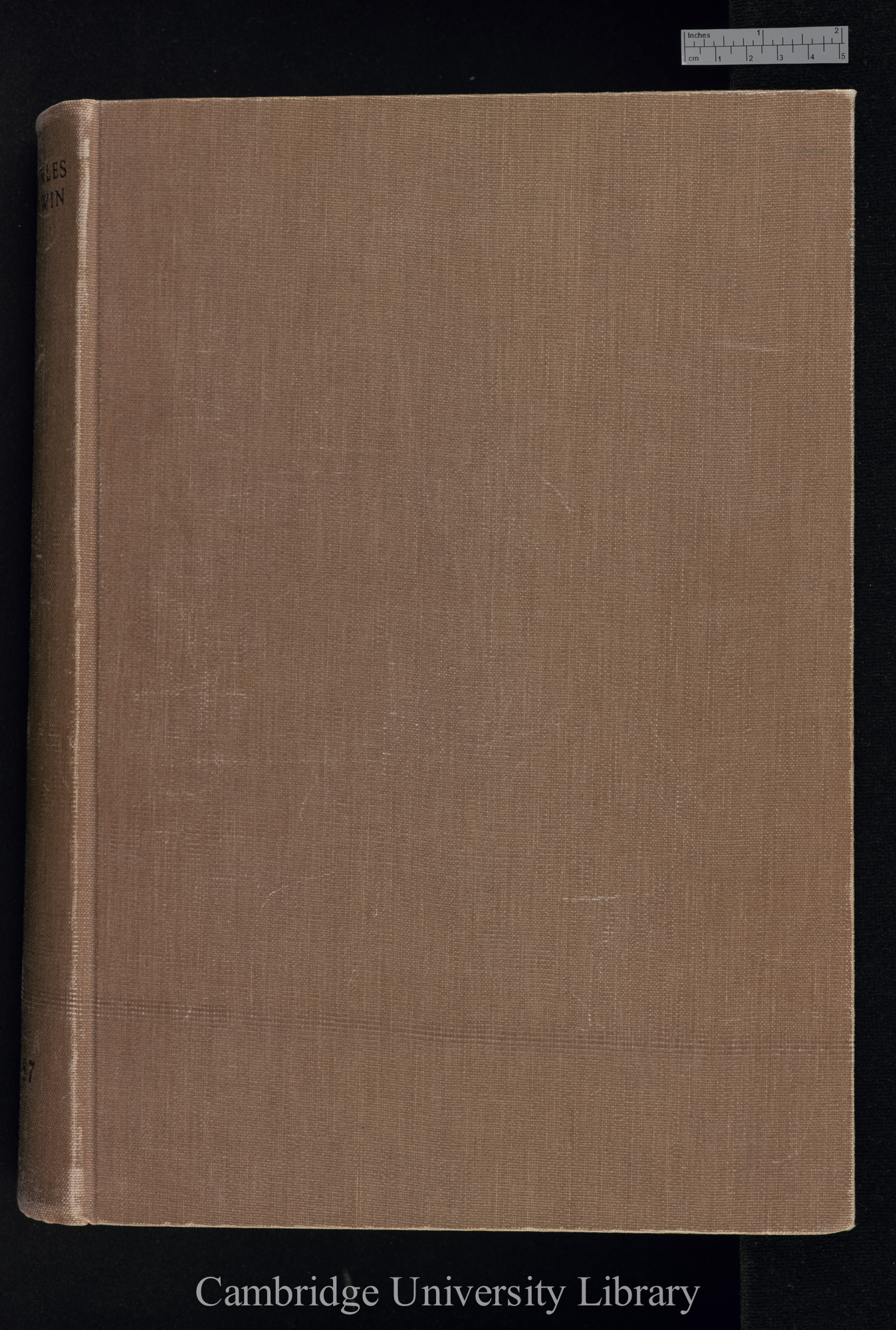 Descent Portfolios 2nd edn (1874) Scraps, photographs: