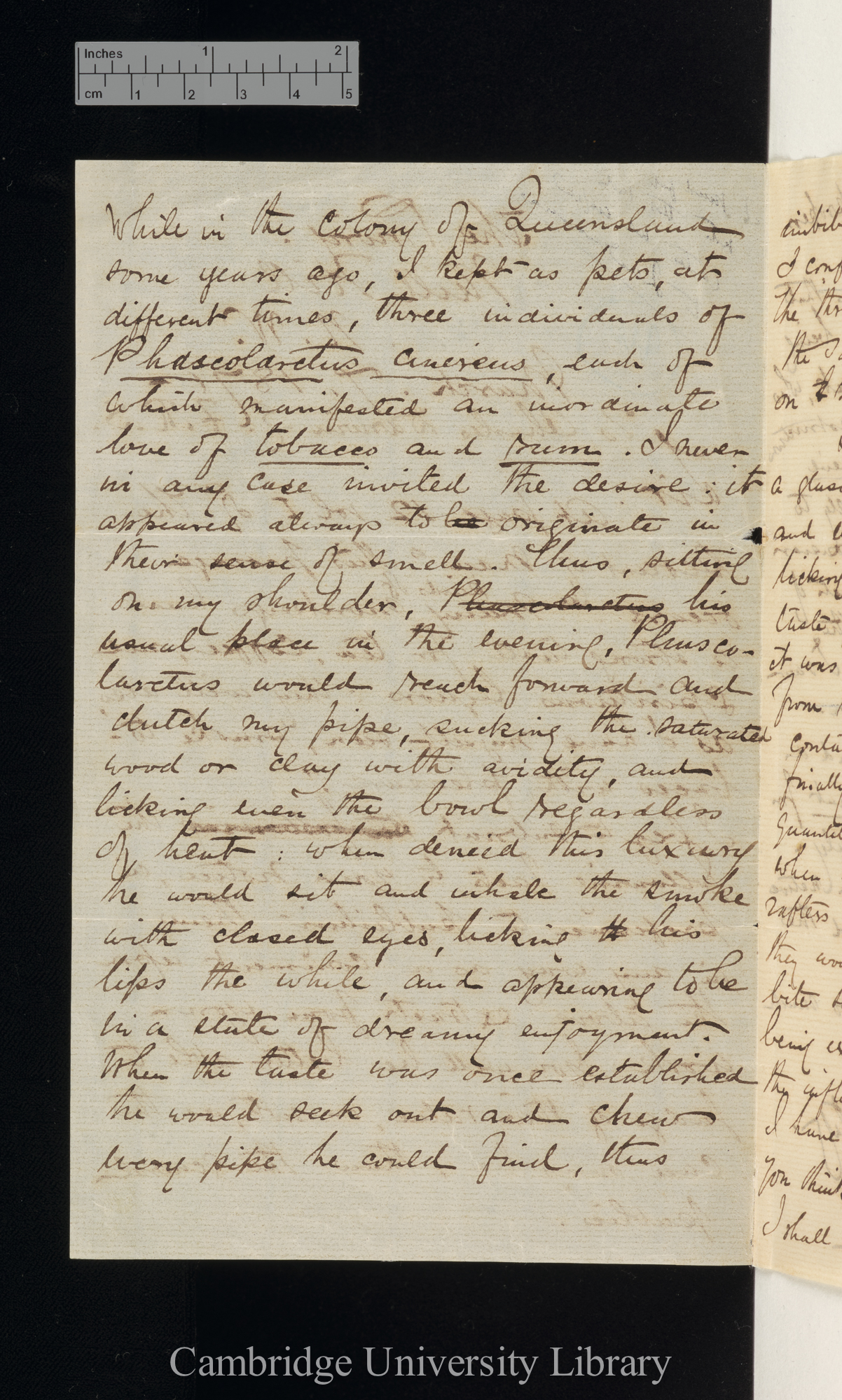 Arthur Nicols to Charles Robert Darwin