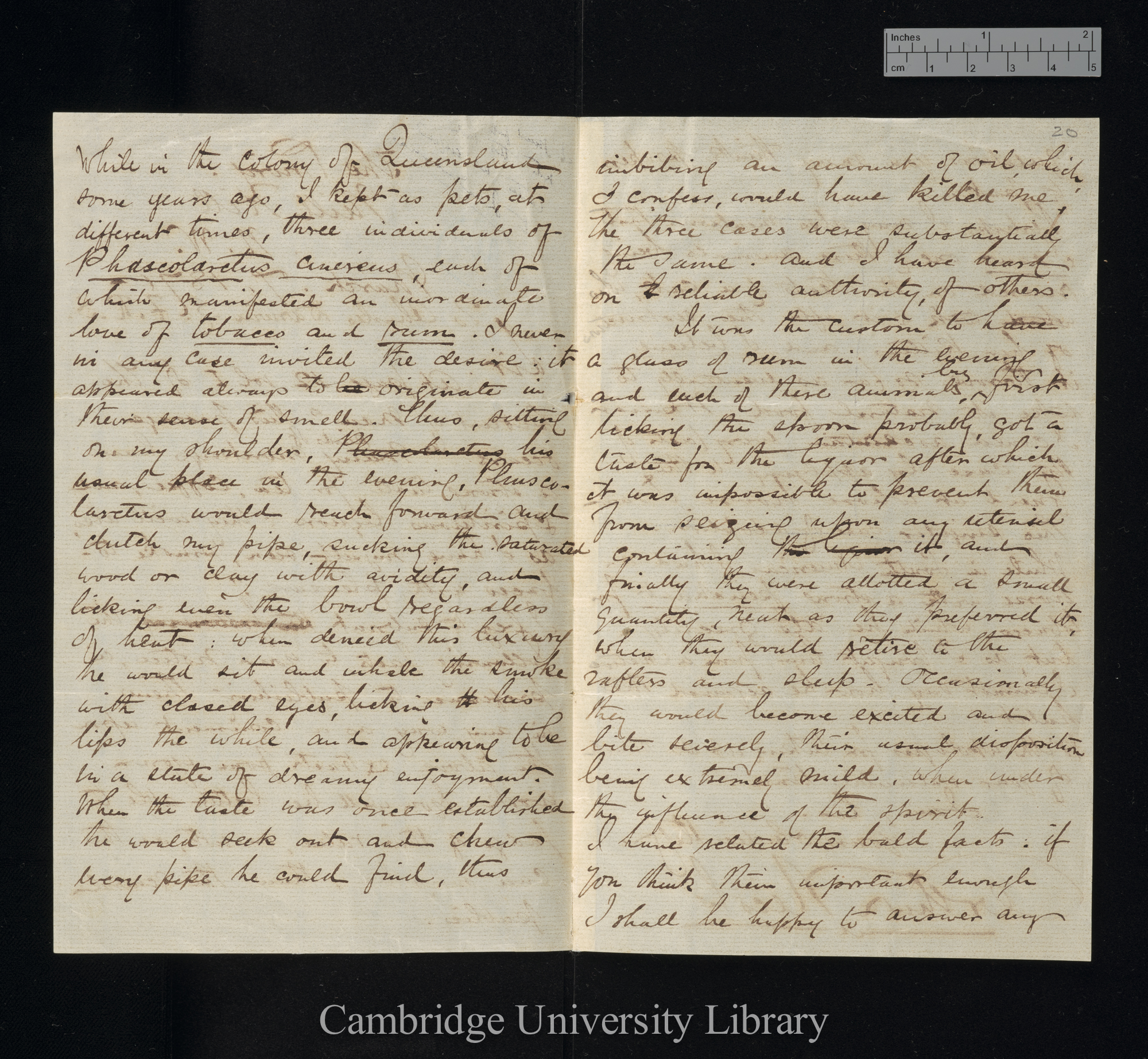 Arthur Nicols to Charles Robert Darwin