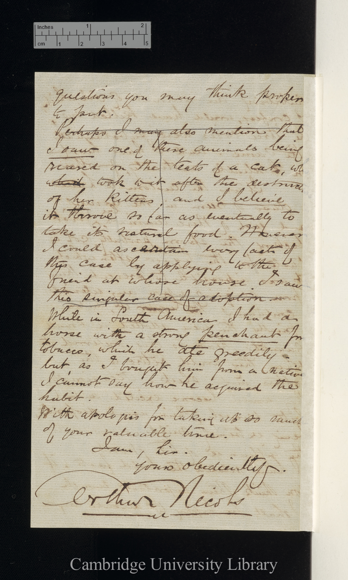 Arthur Nicols to Charles Robert Darwin