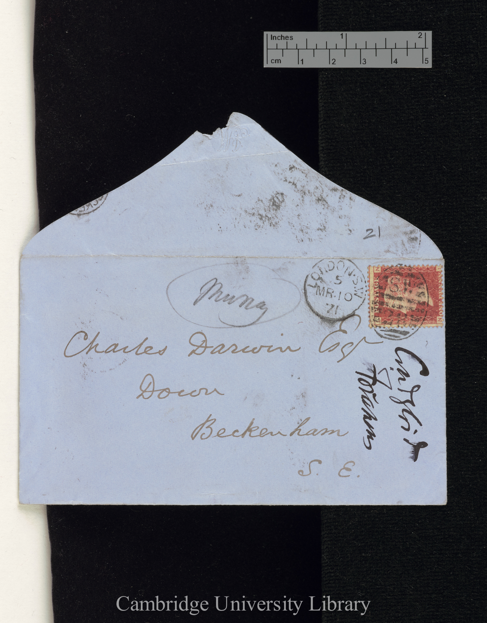 George Busk to Charles Robert Darwin [envelope]