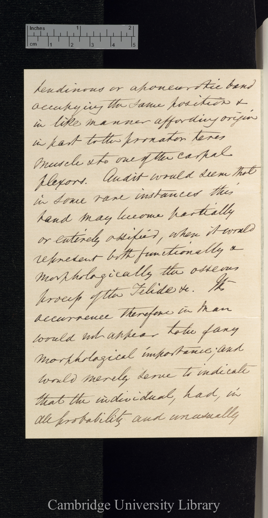 George Busk to Charles Robert Darwin