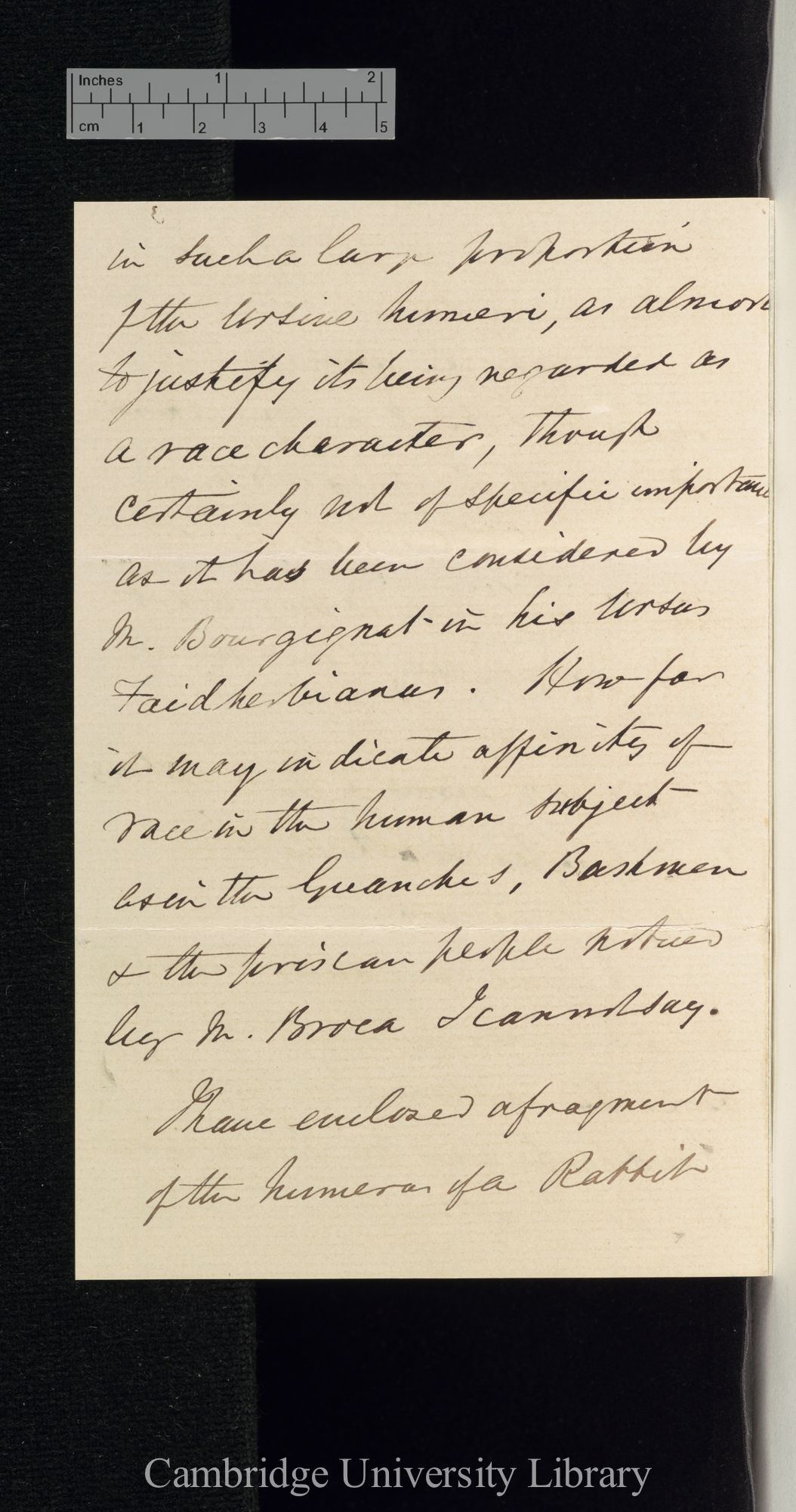 George Busk to Charles Robert Darwin